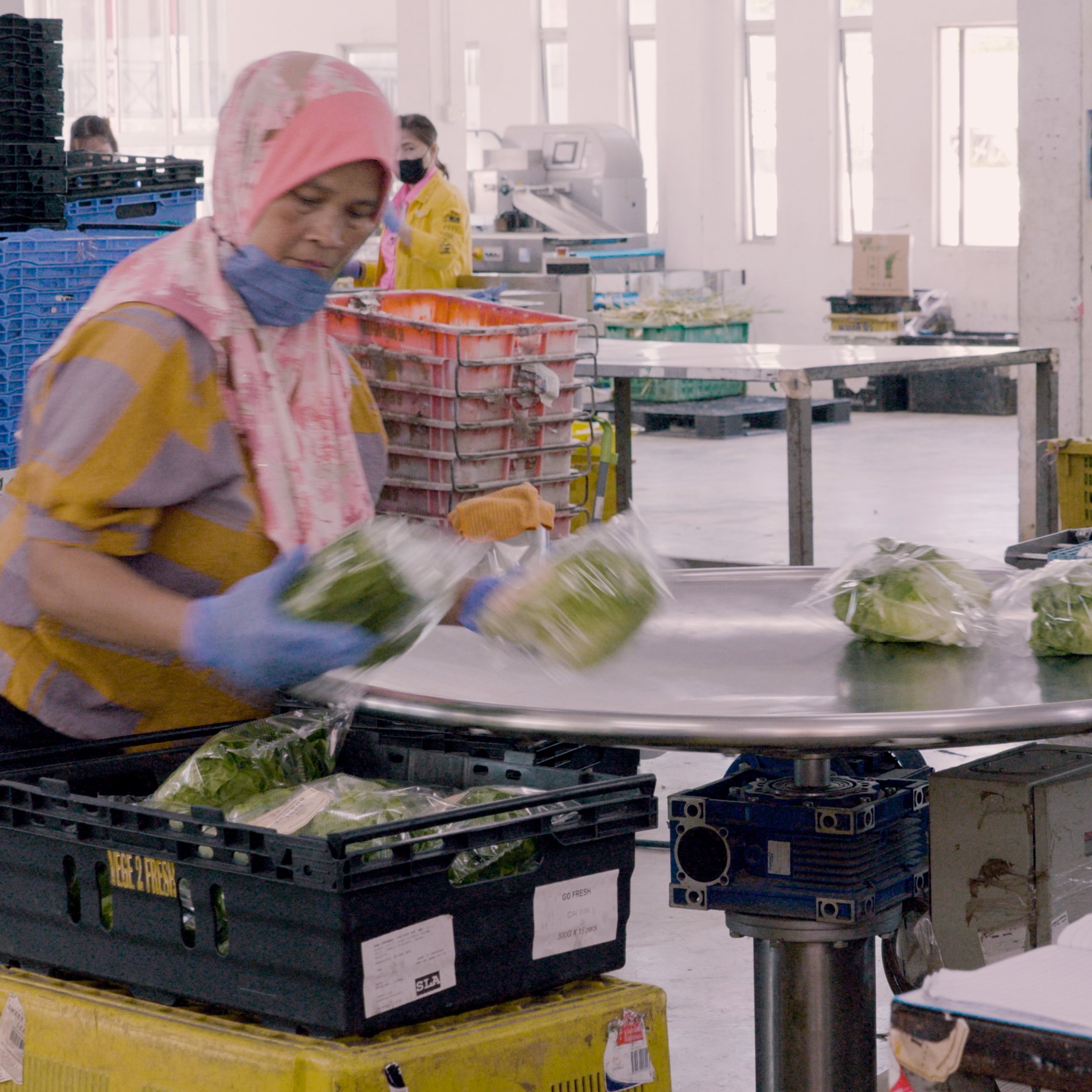 CCC Vege2Fresh SS1.jpg