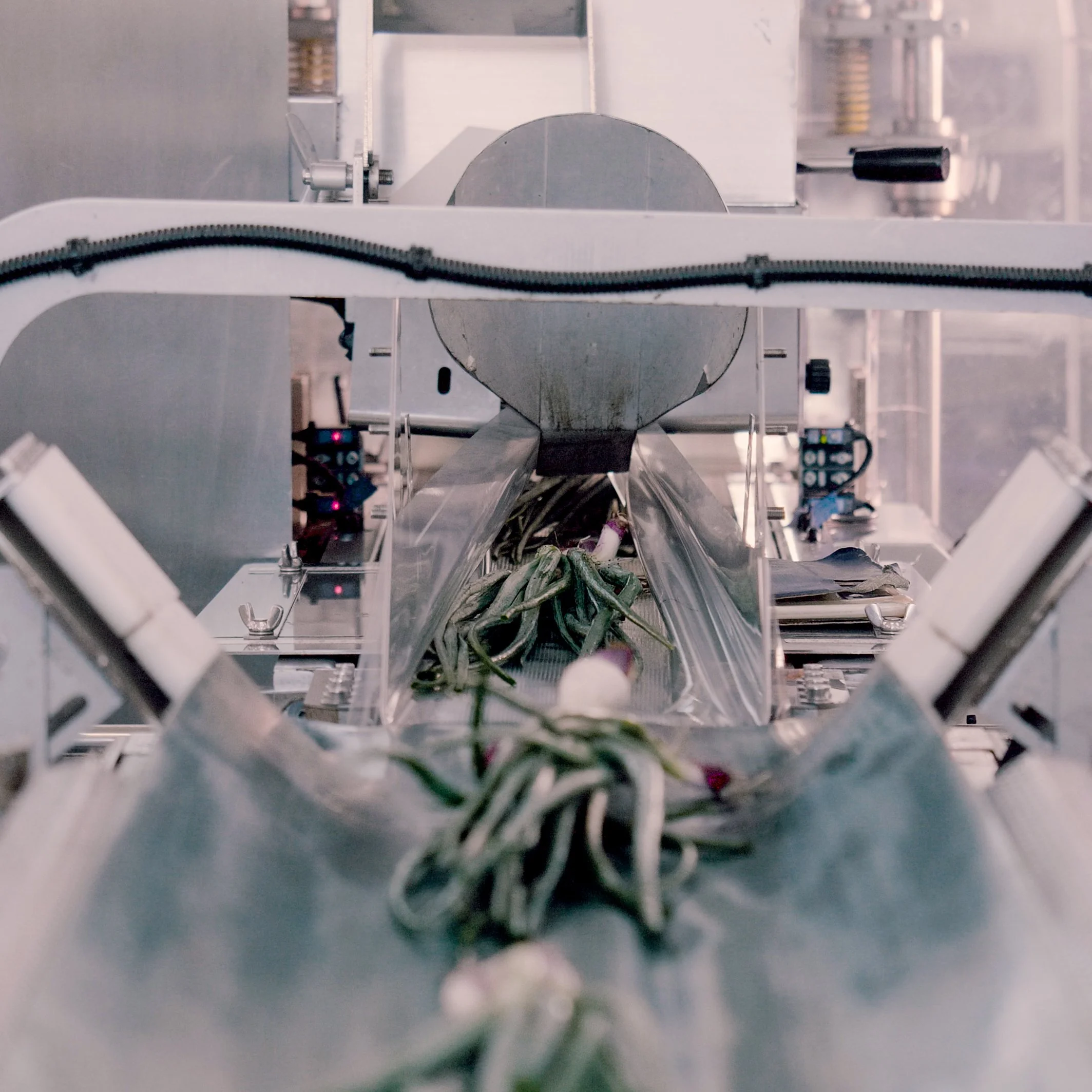 CCC Vege2Fresh SS4.jpg