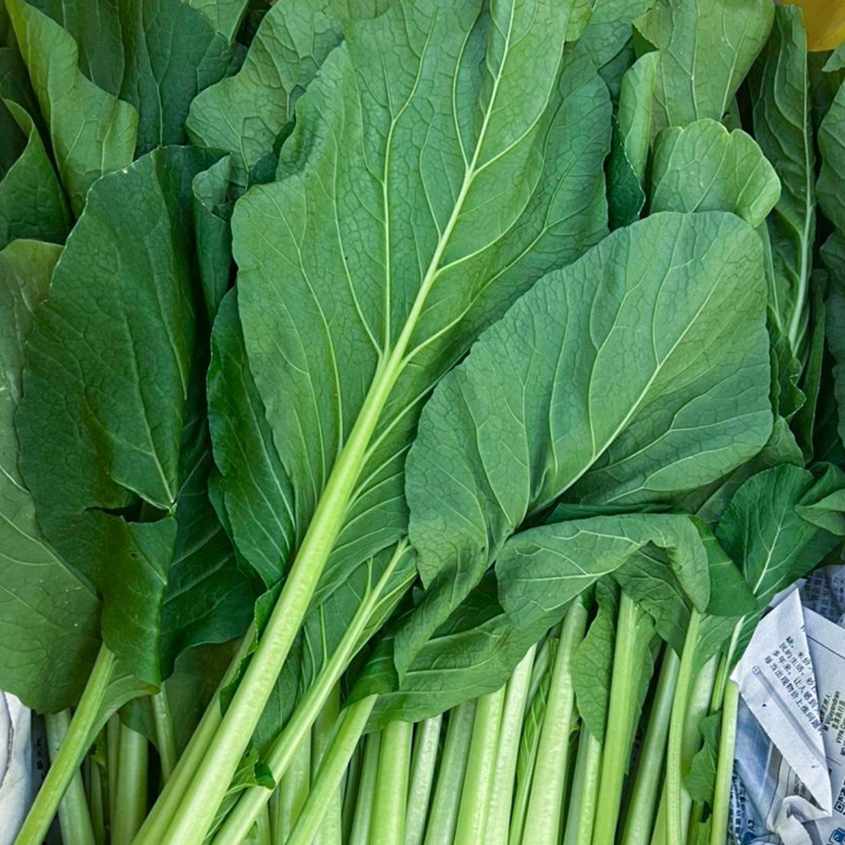 choi sum 13.jpg
