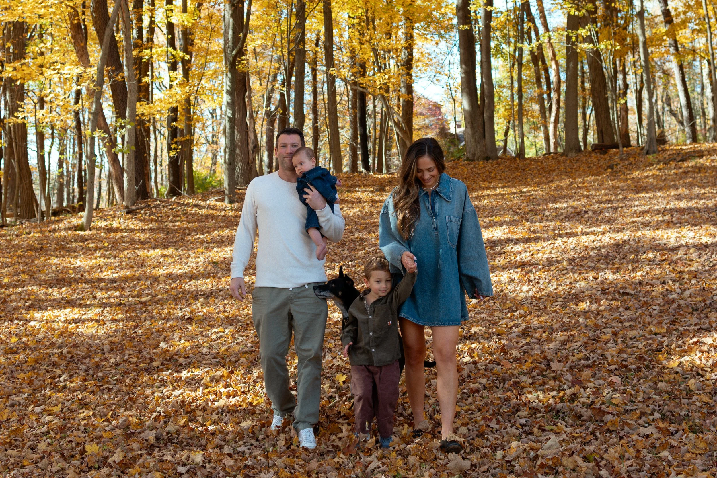 A family walking in a park during fall, with yellow and orange leaves on the ground and trees, including a man holding a small child, a woman holding a child's hand, and a dog walking alongside them.