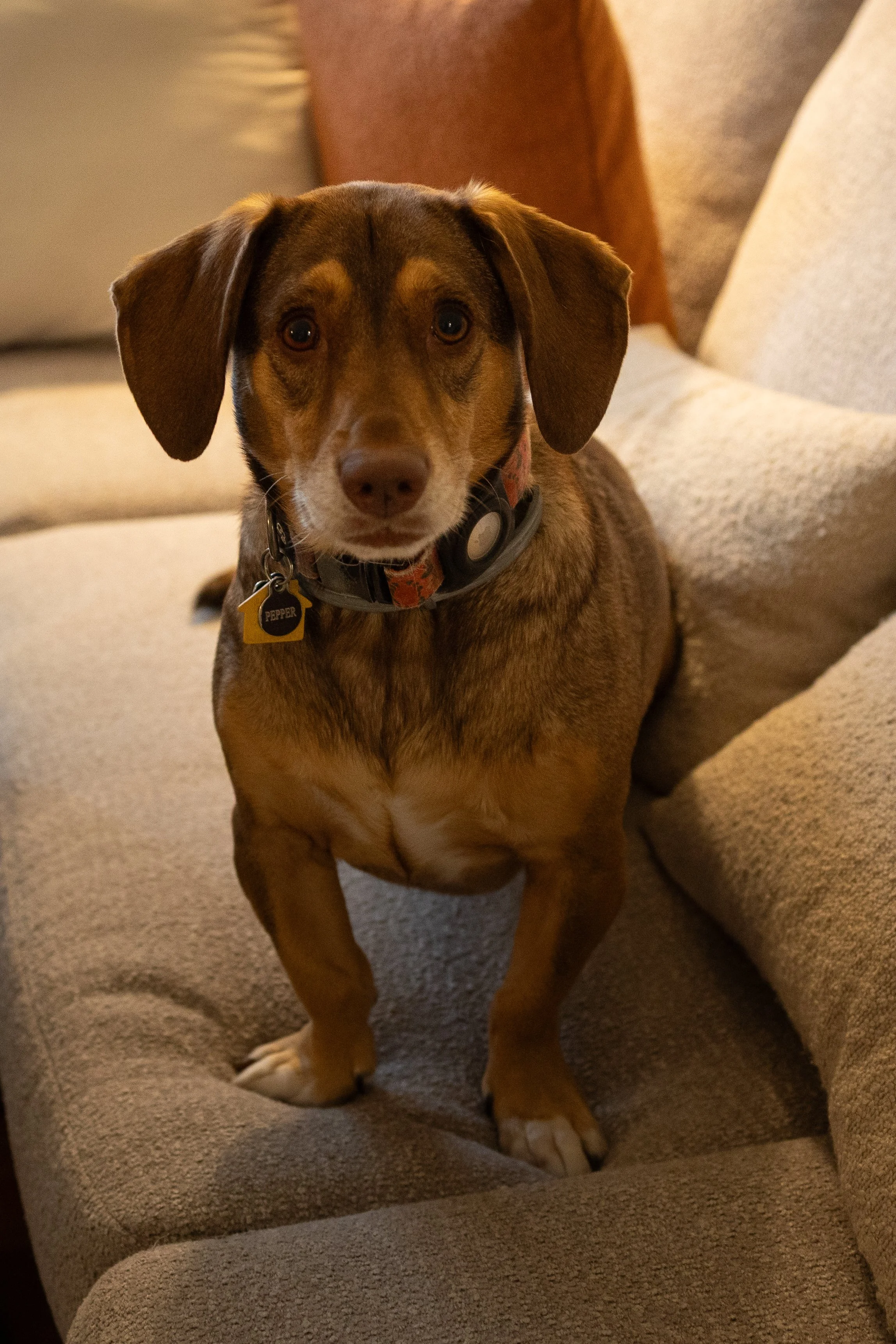 Maddi and Rob-04.jpg