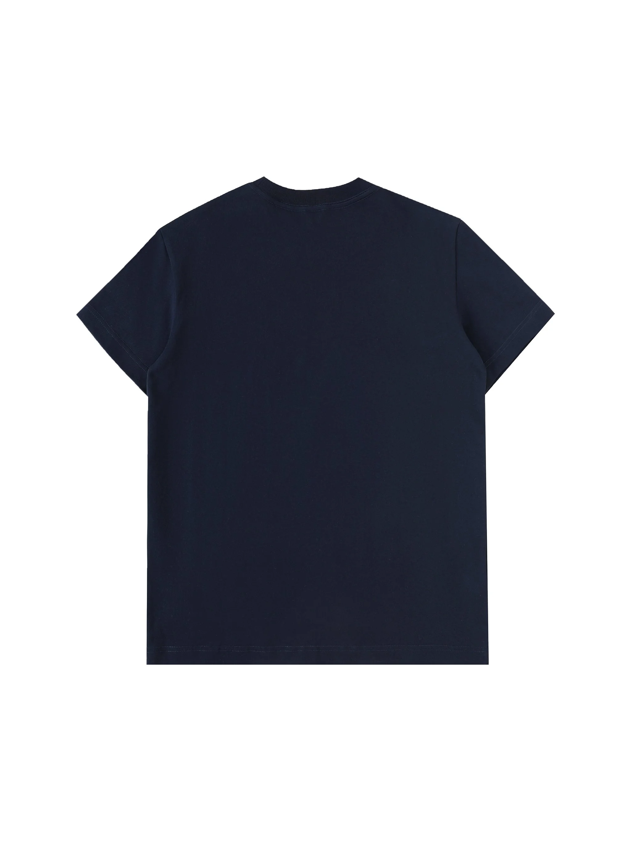 Blue T-Shirt Back.png