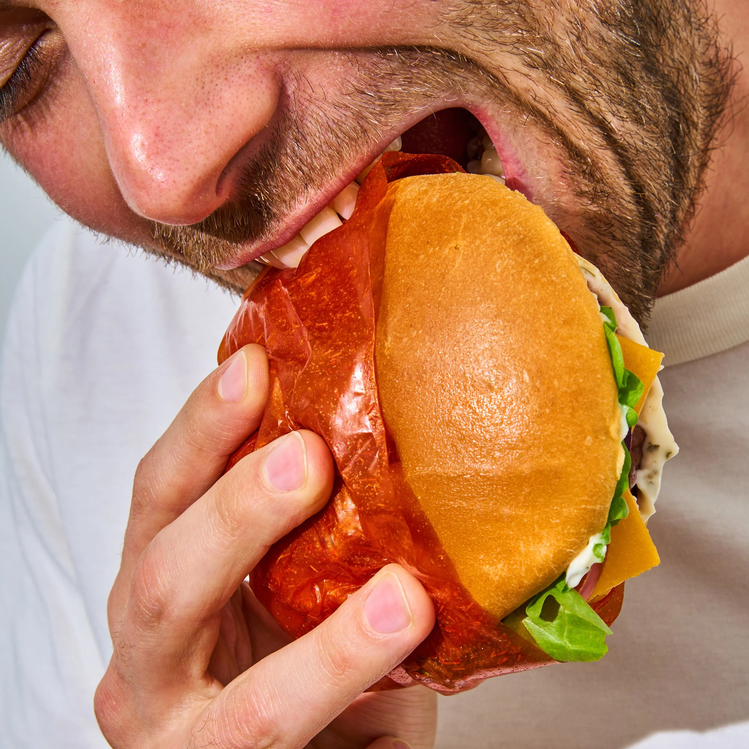 2026 02 27 MACHEMACHE7402697 copy CARRE.jpg