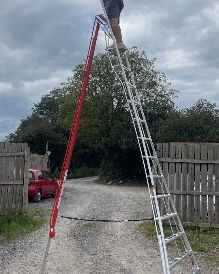 Finally got some very sturdy 16ft ladders, now we can take on ANY hedge!