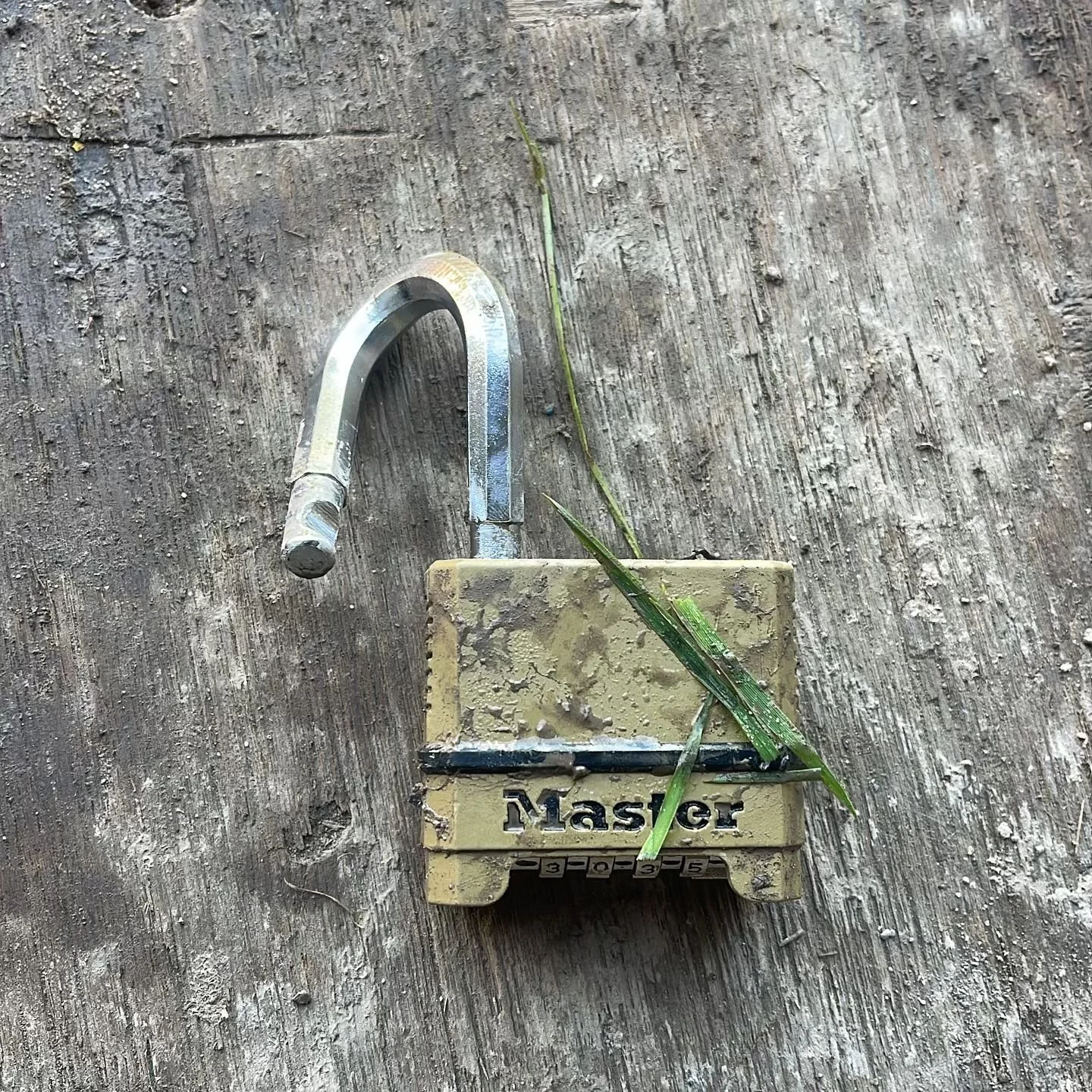 It&rsquo;s a sad day for symbiotic&hellip;&hellip; all saws, trimmers and climbing equipment taken. If you are local to mid Sussex, make sure all your equipment is safe!
