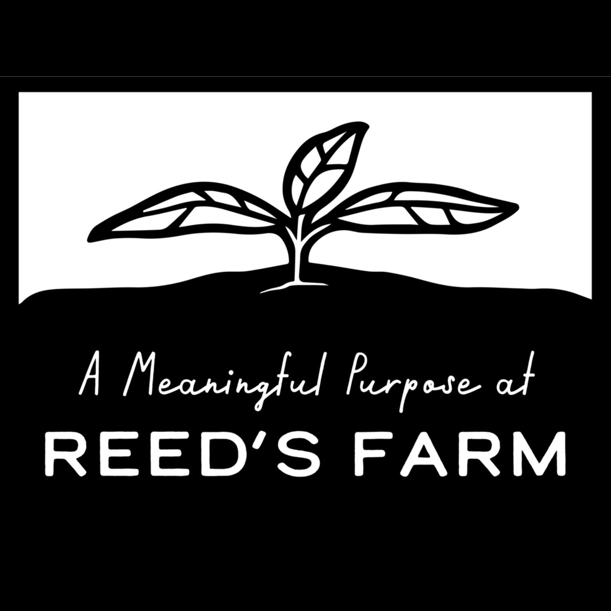 Acme Markets Albertson's-20.png