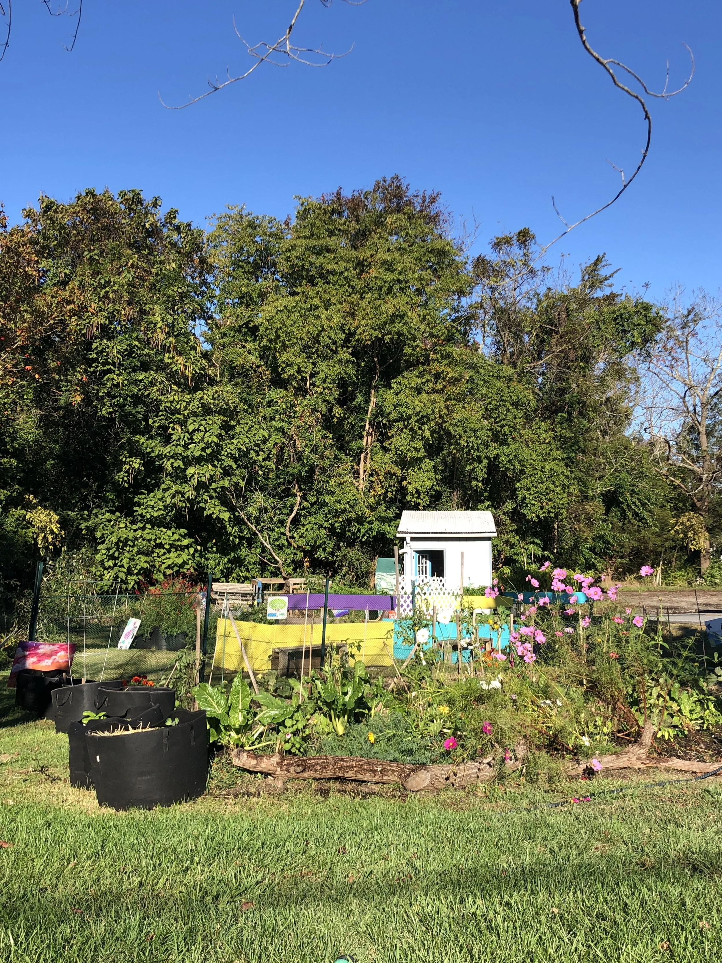 Arc Garden - October 3.JPG