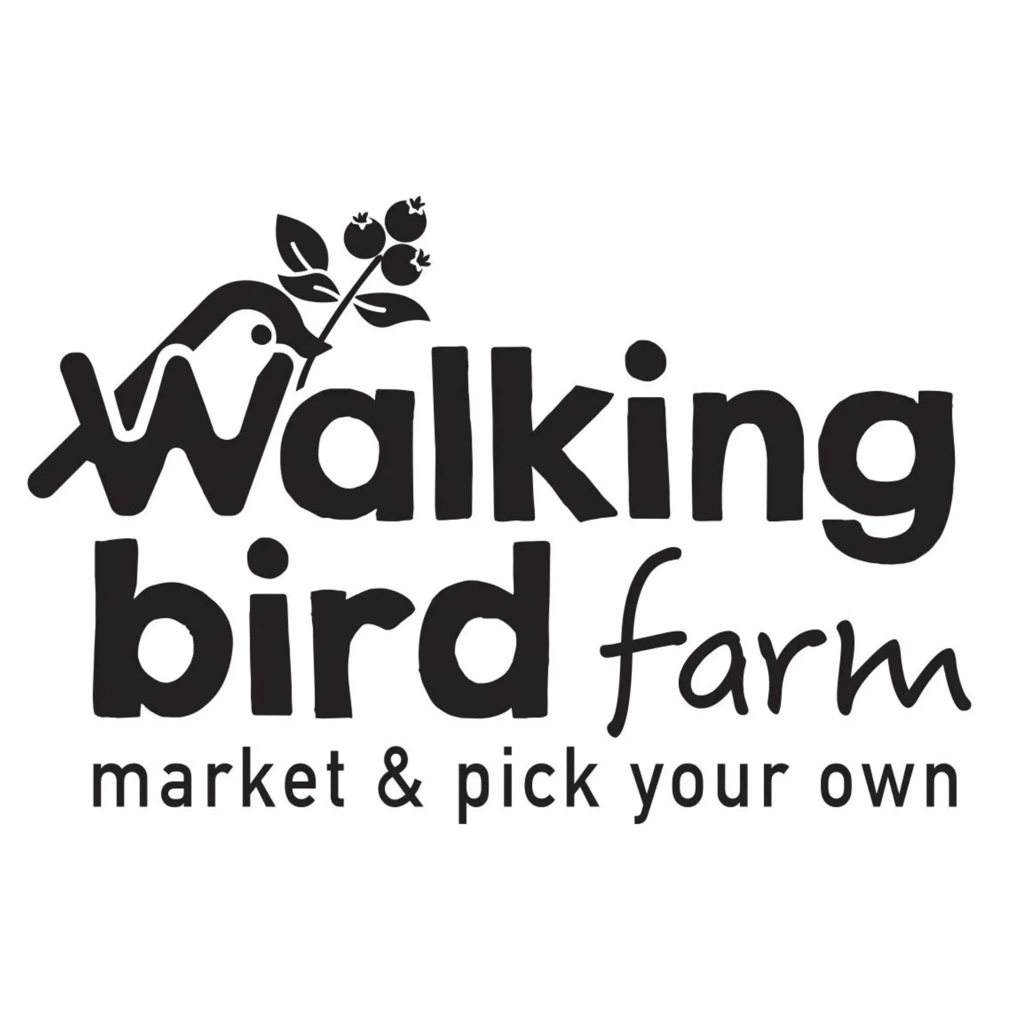 Acme Markets Albertson's-11.jpg