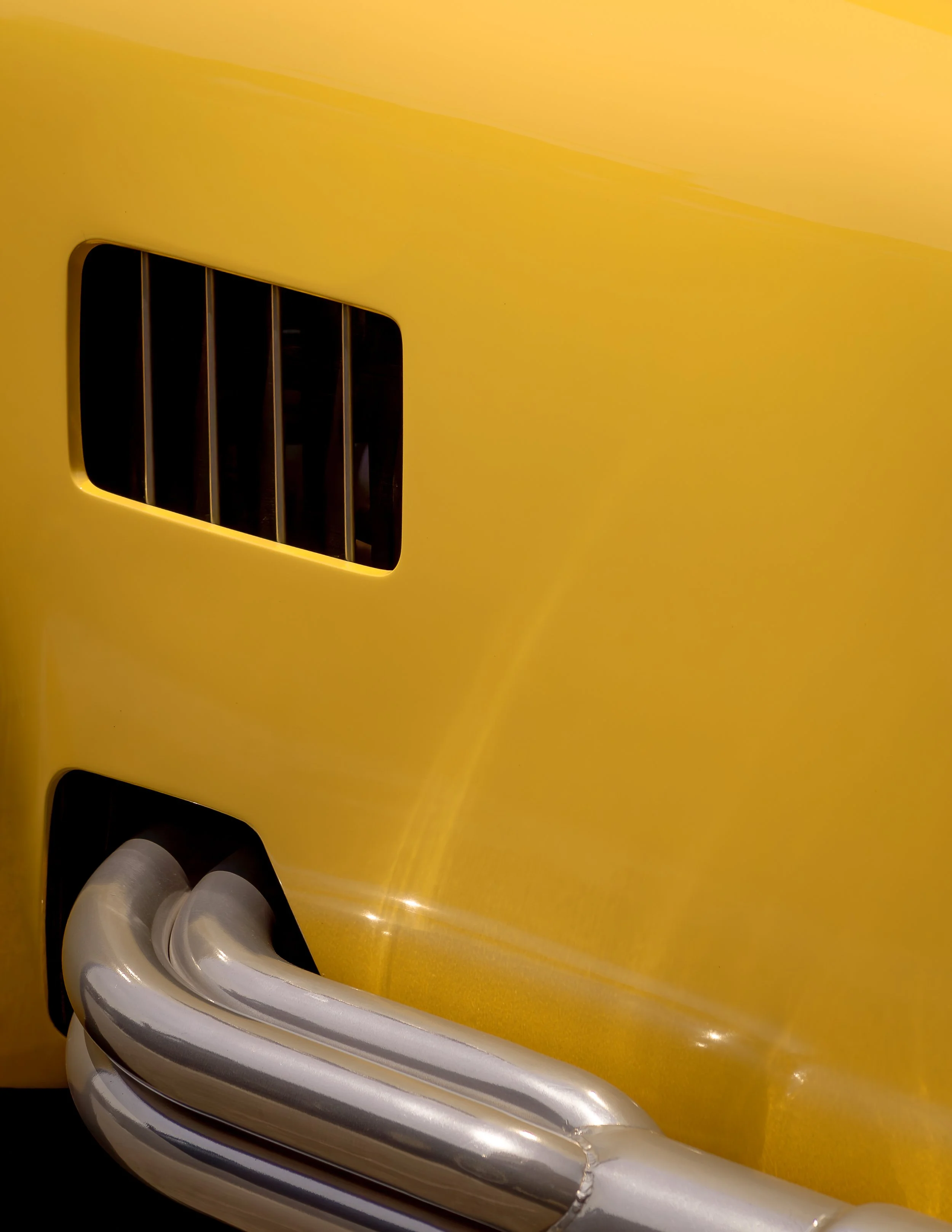 BumbleBee-.jpg