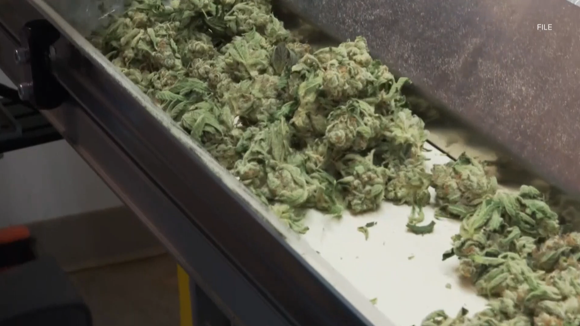 Kentucky advocate expects business benefit from marijuana reclassification