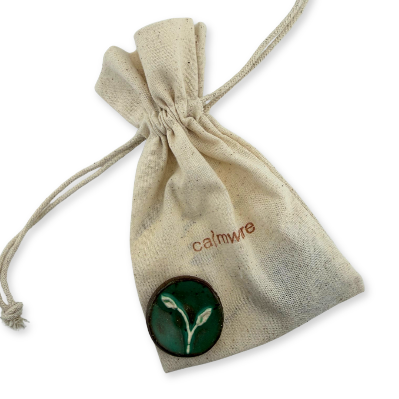 Regeneration Worry Stone_With Bag.png