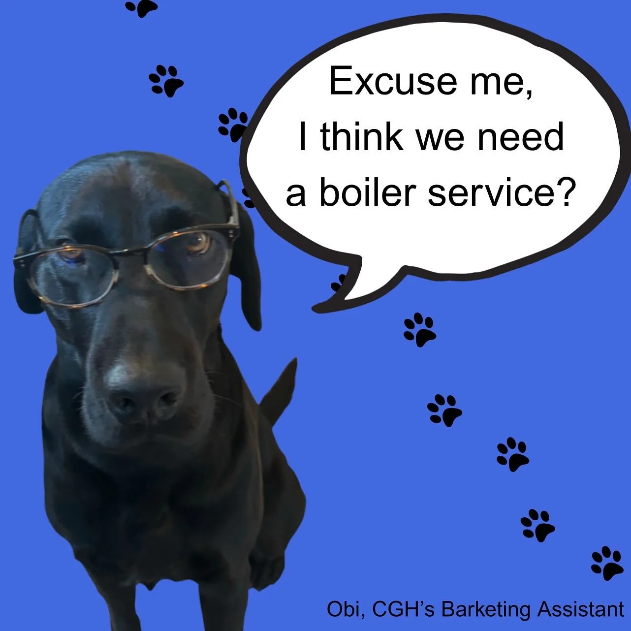 Everyone needs a little help with life admin once in a while, right? Today, Obi (our very intelligent Barketing Assistant 🐾) would like to 
remind you to get your boiler service booked in. 

We are taking bookings for well into 
November now&helli