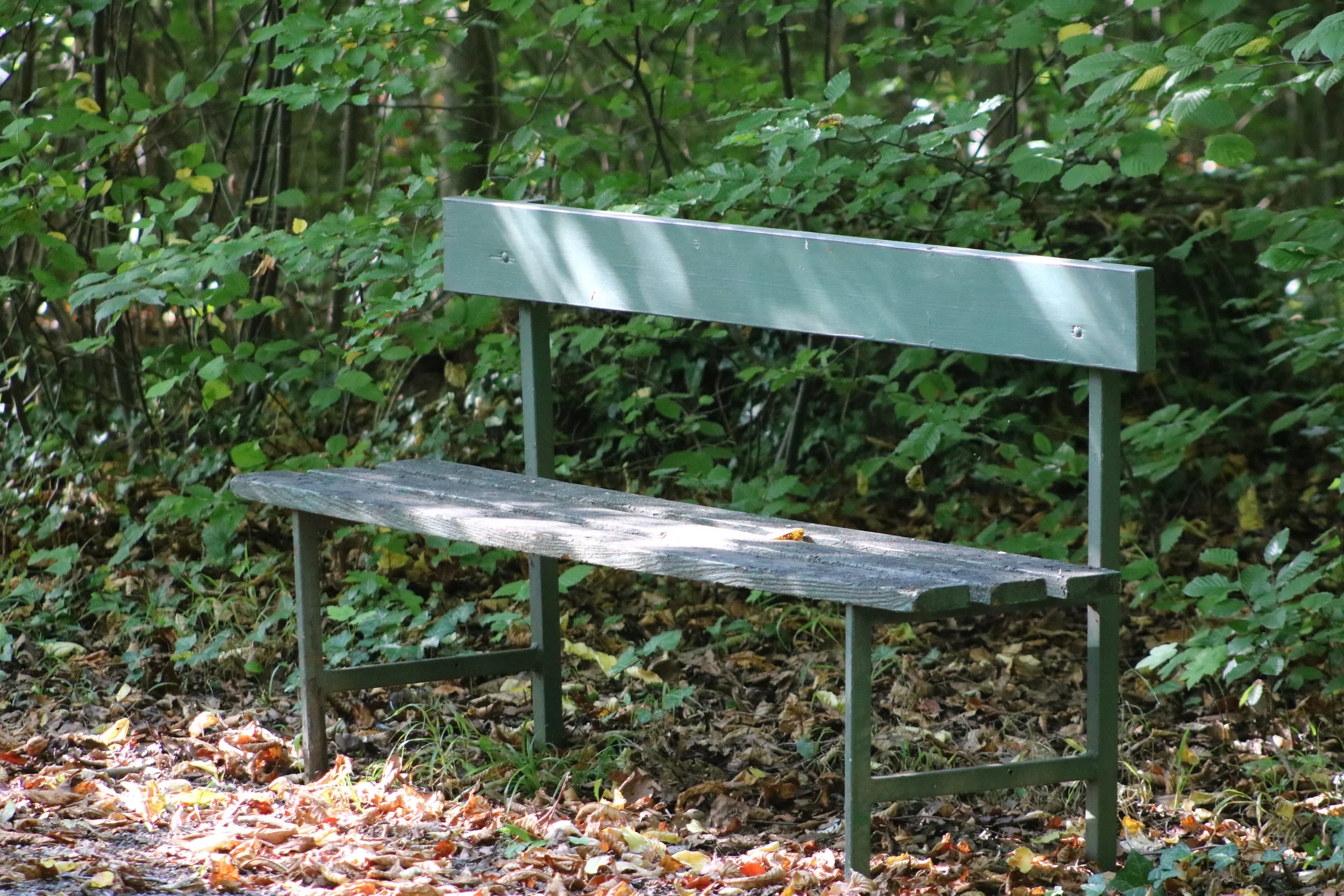 Fasten  mit Leib und Seele