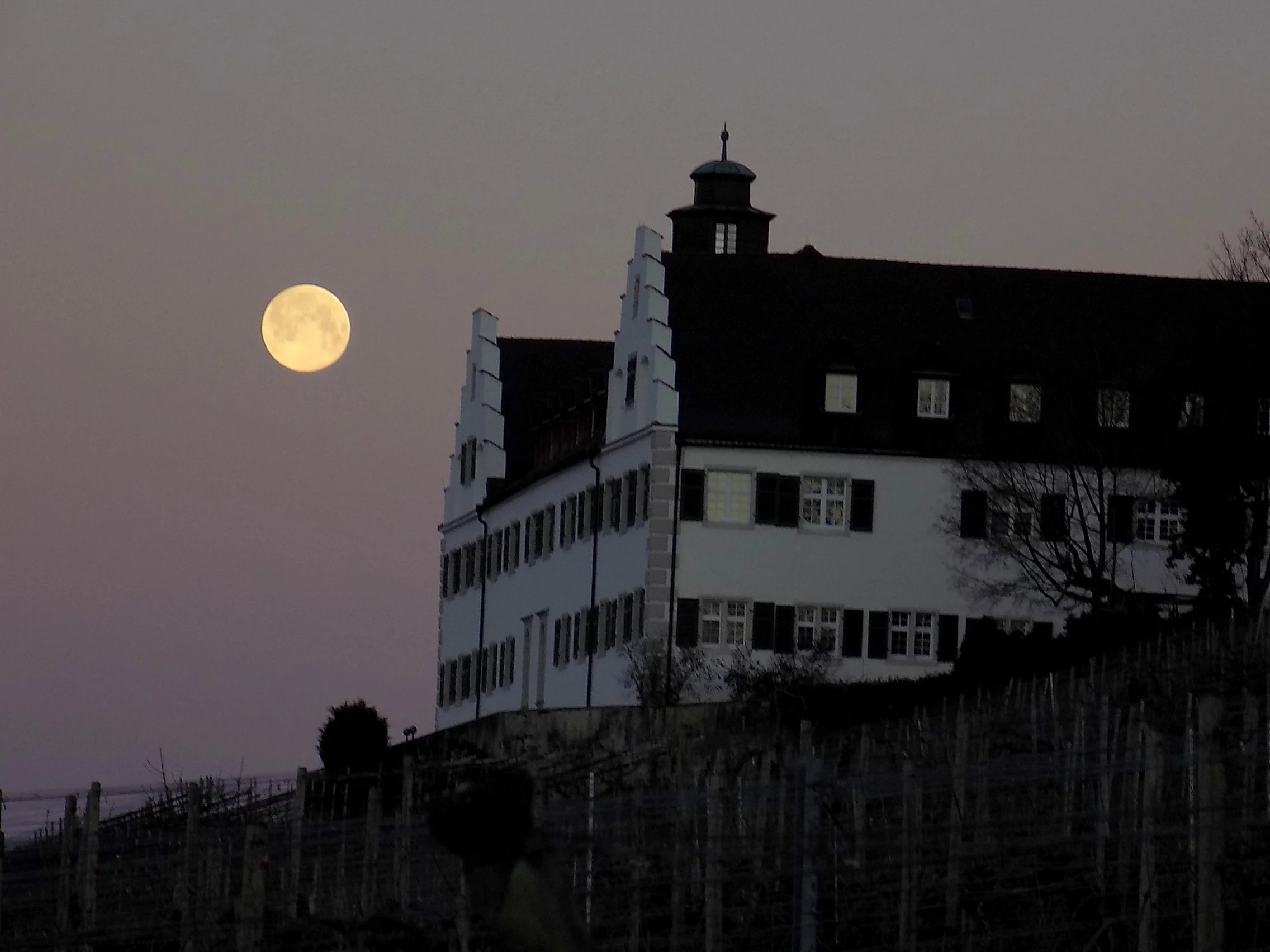 Liebevolle Zwiesprache -