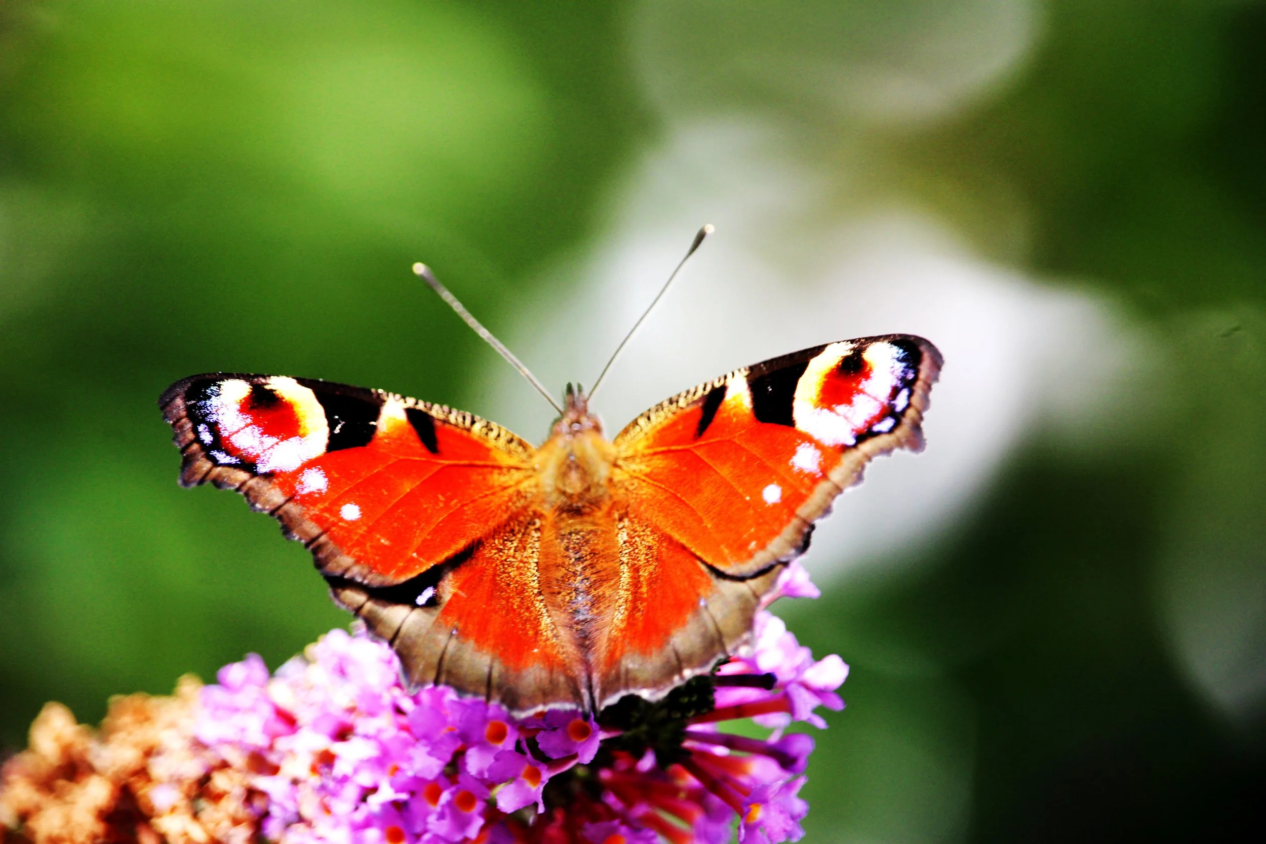 Osterfreizeit mit den Pallottinern