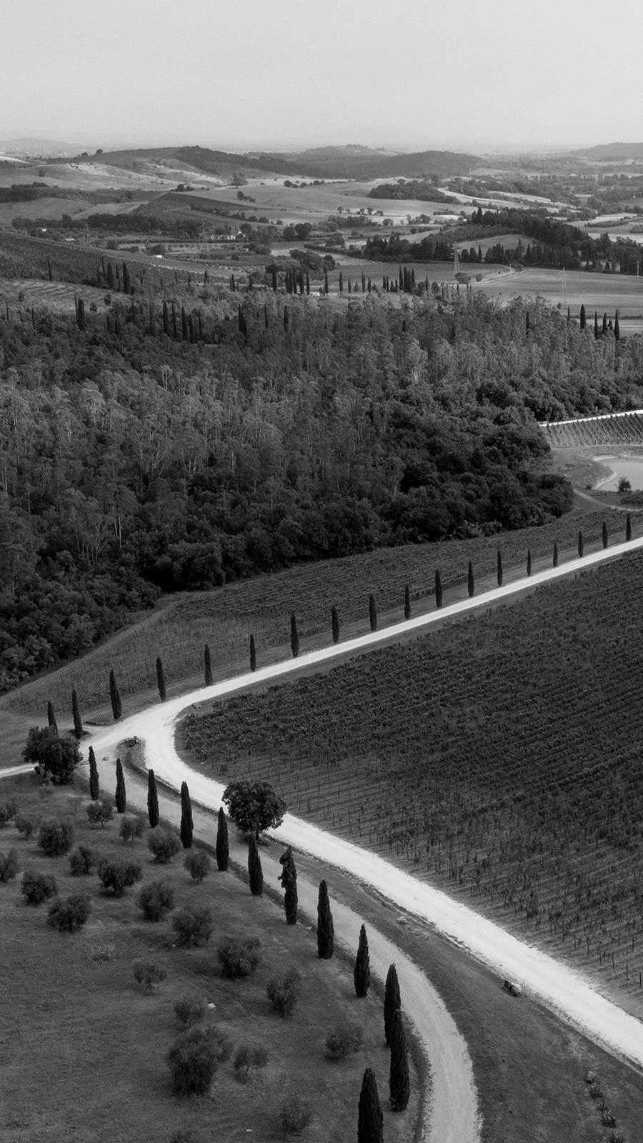 E&J Soulful wedding Maremma-style.jpg