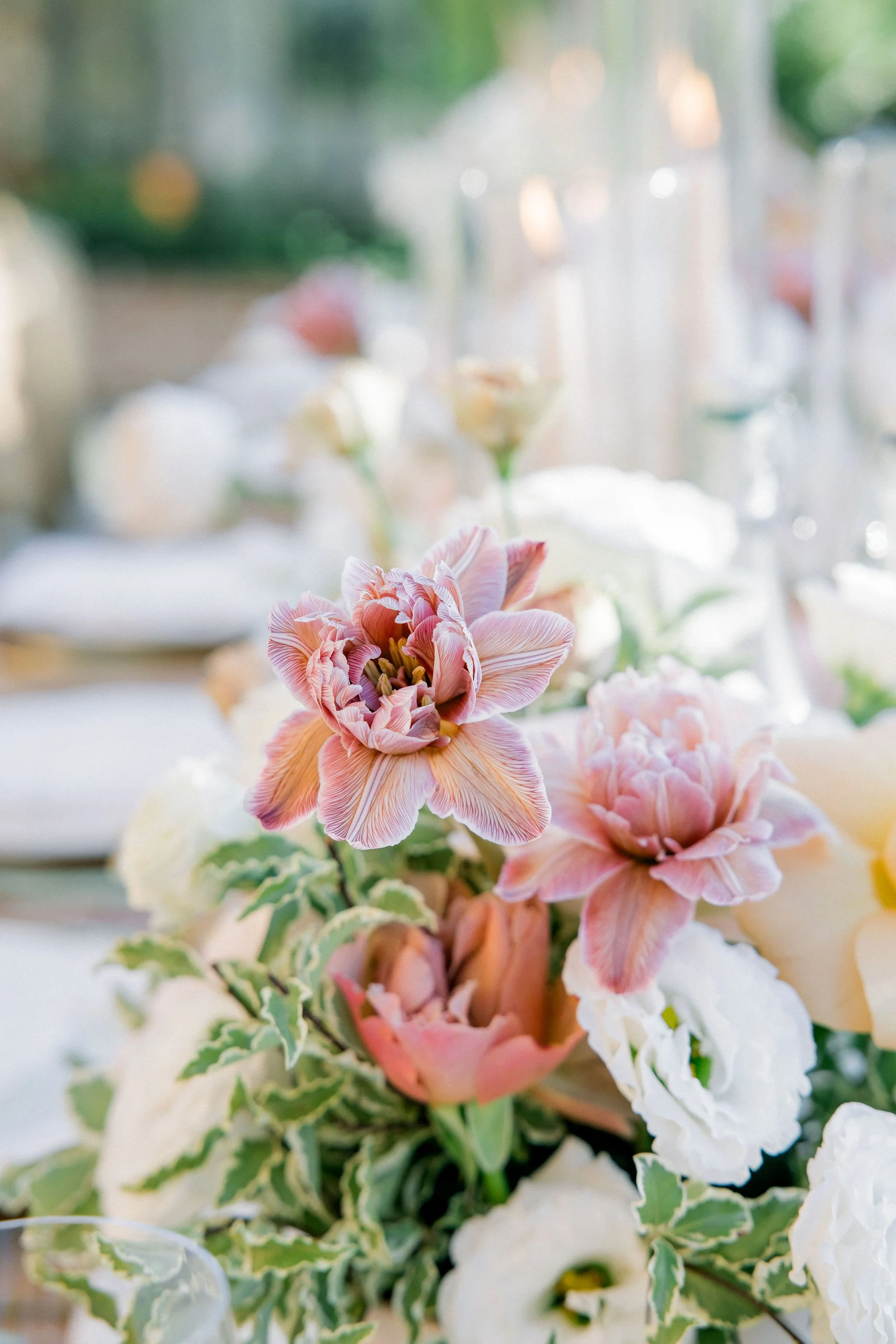 C&S Summer celebration at Borgo San Vincenzo.jpg