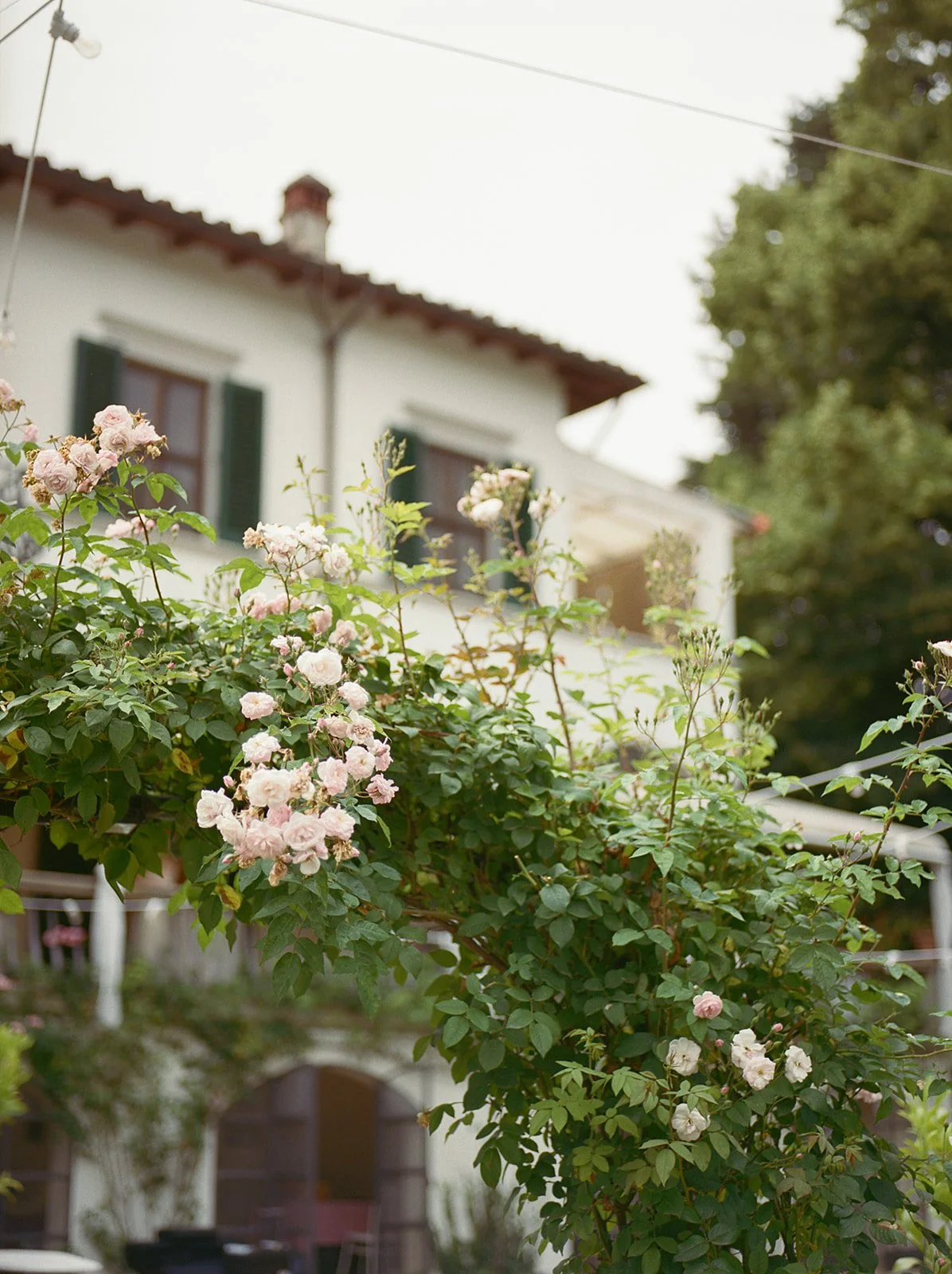 charming Italian villa garden corner