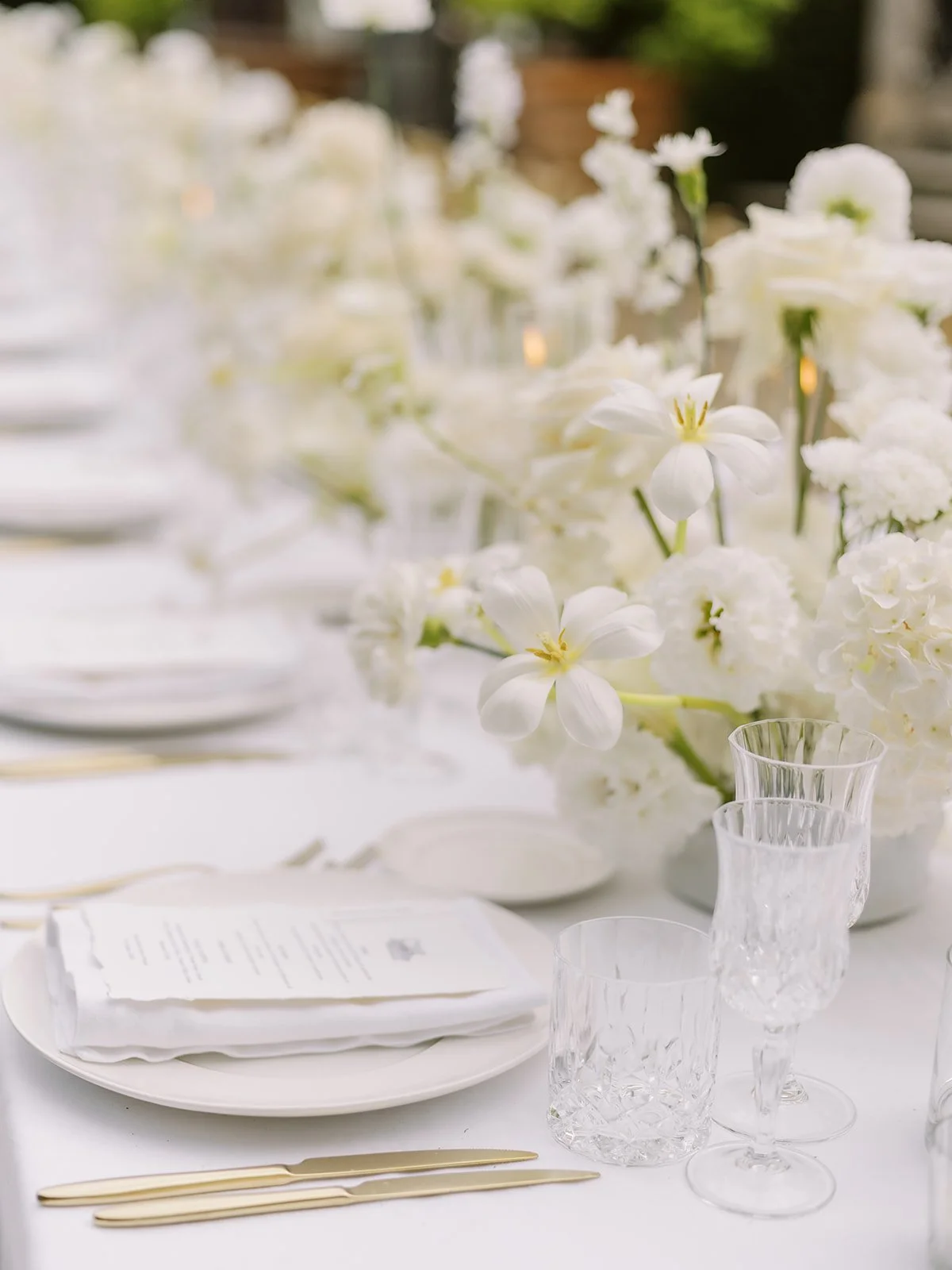 M & R Romantic garden celebration in Florence.jpg