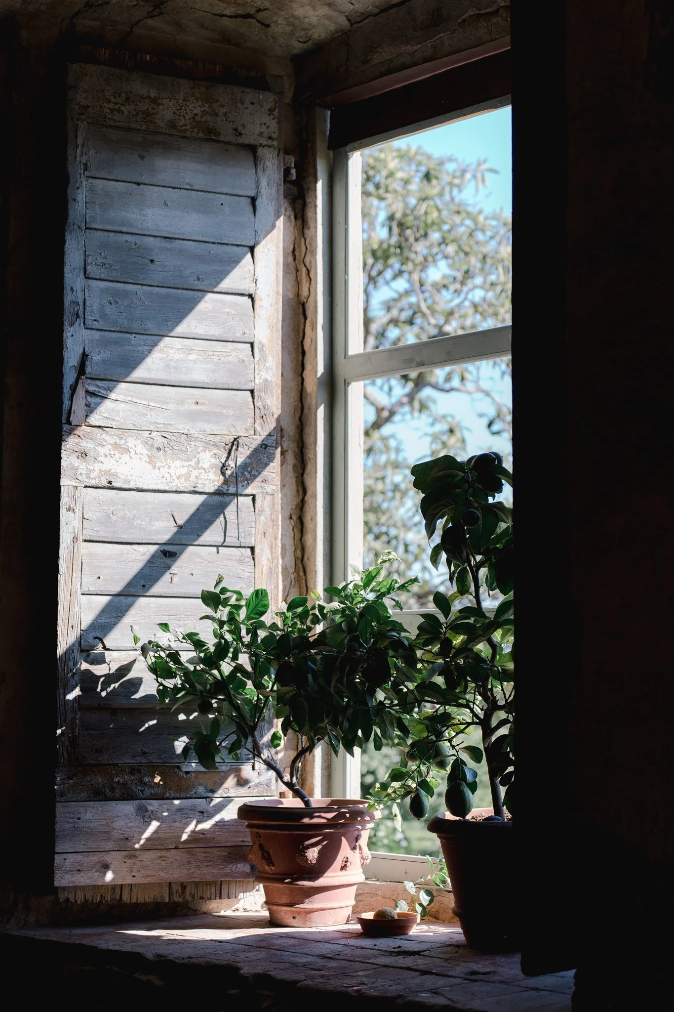 S & M Villa di Maiano celebration.jpg