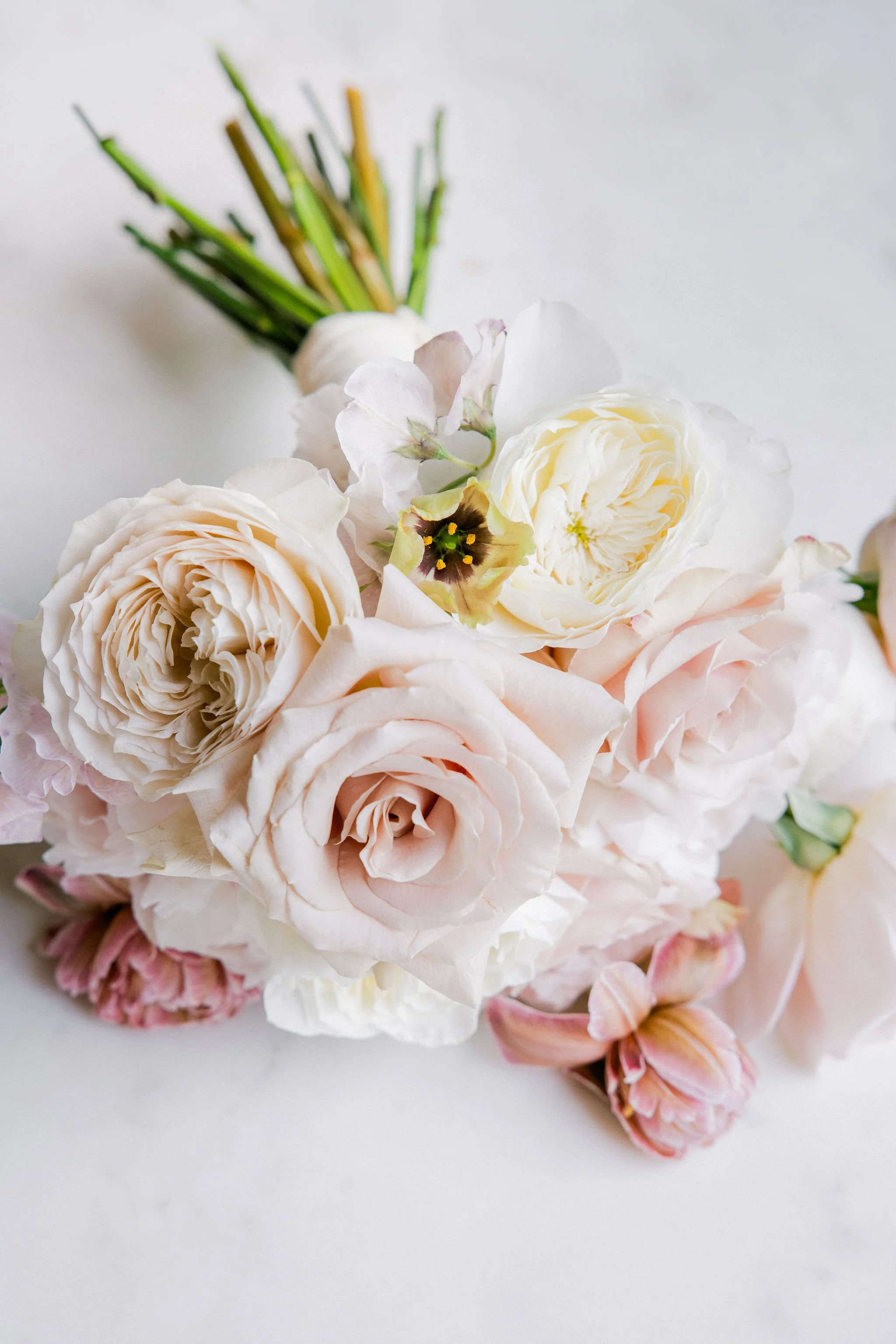 C&S Summer celebration at Borgo San Vincenzo.jpg