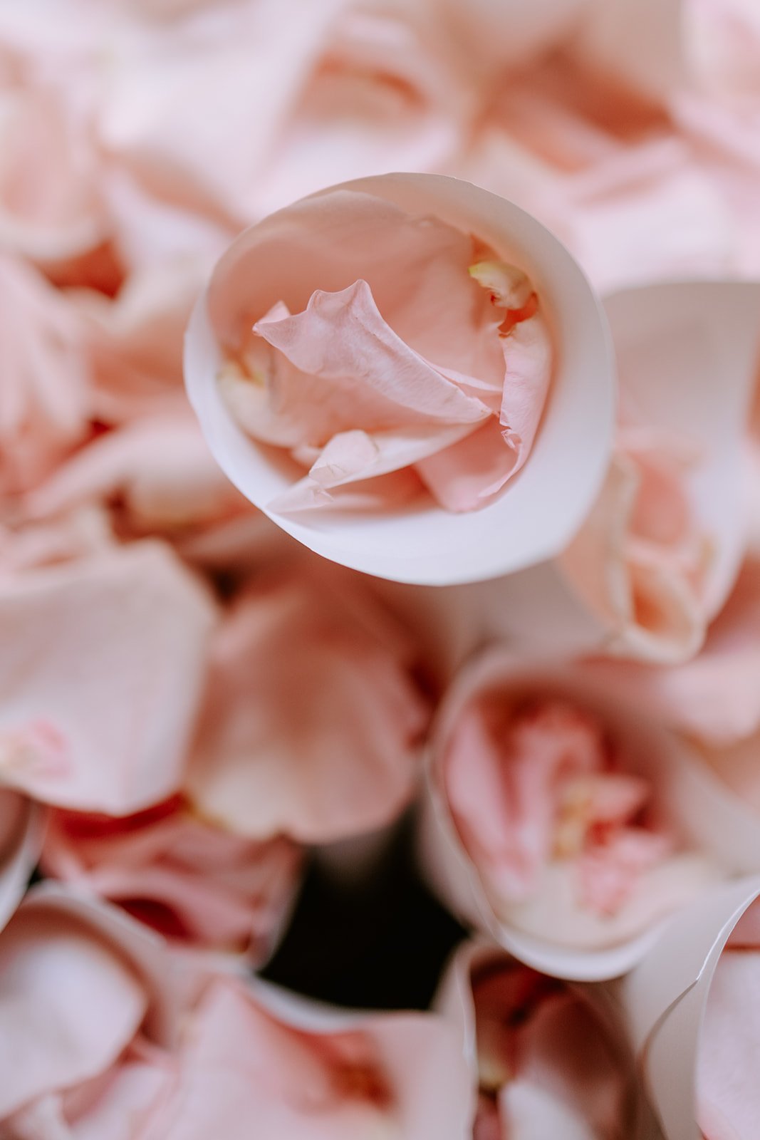 R&S Fusion wedding in Florence.jpg