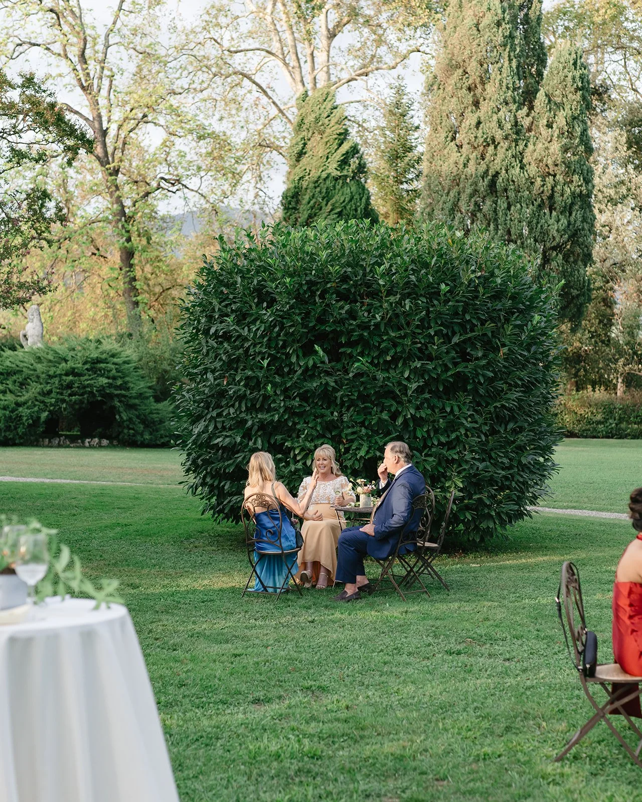 People sitting at a garden table having a conversation under a green bush with trees in the background.