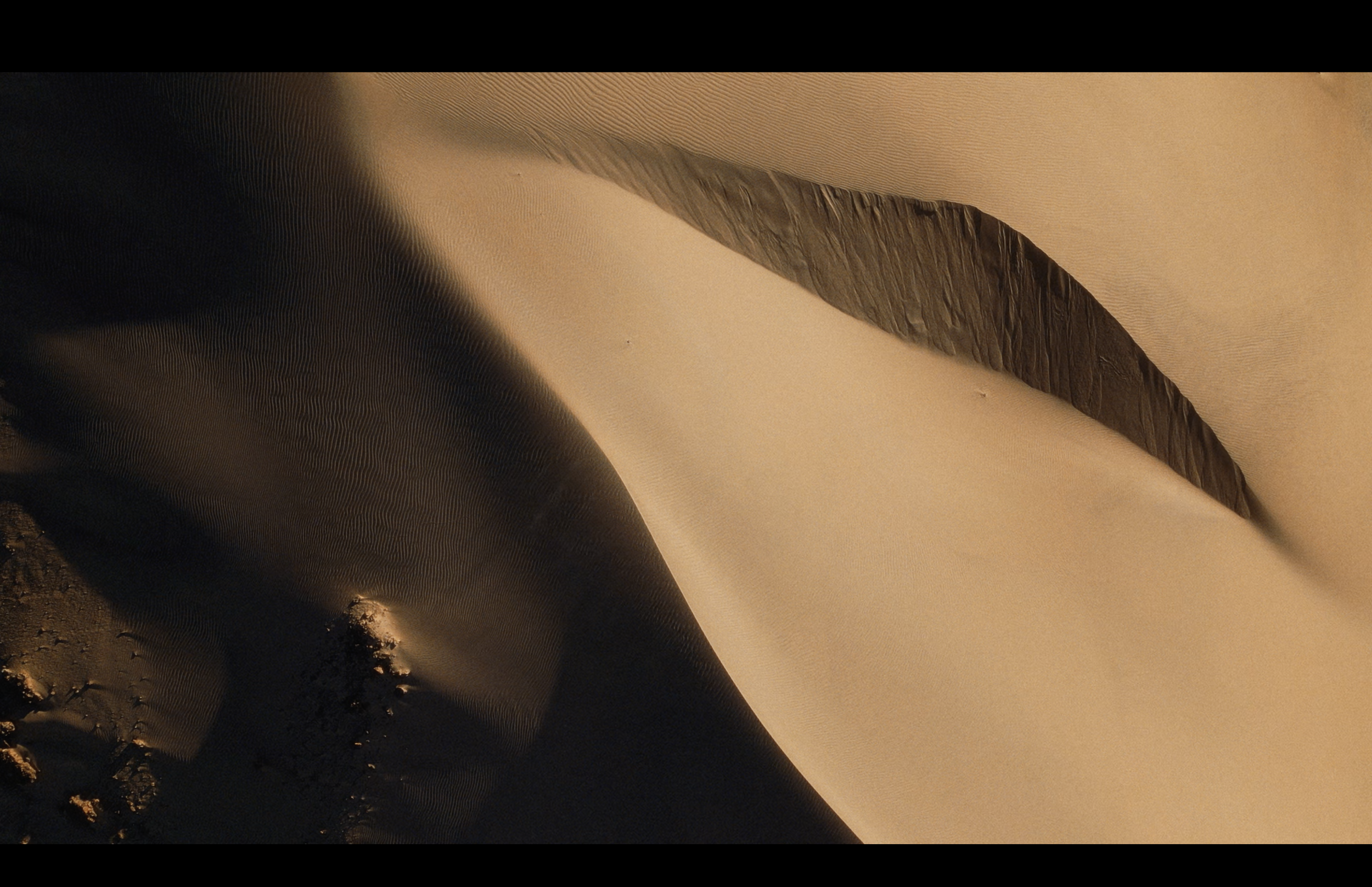 Capture d’écran 2026-04-04 à 14.26.15.png