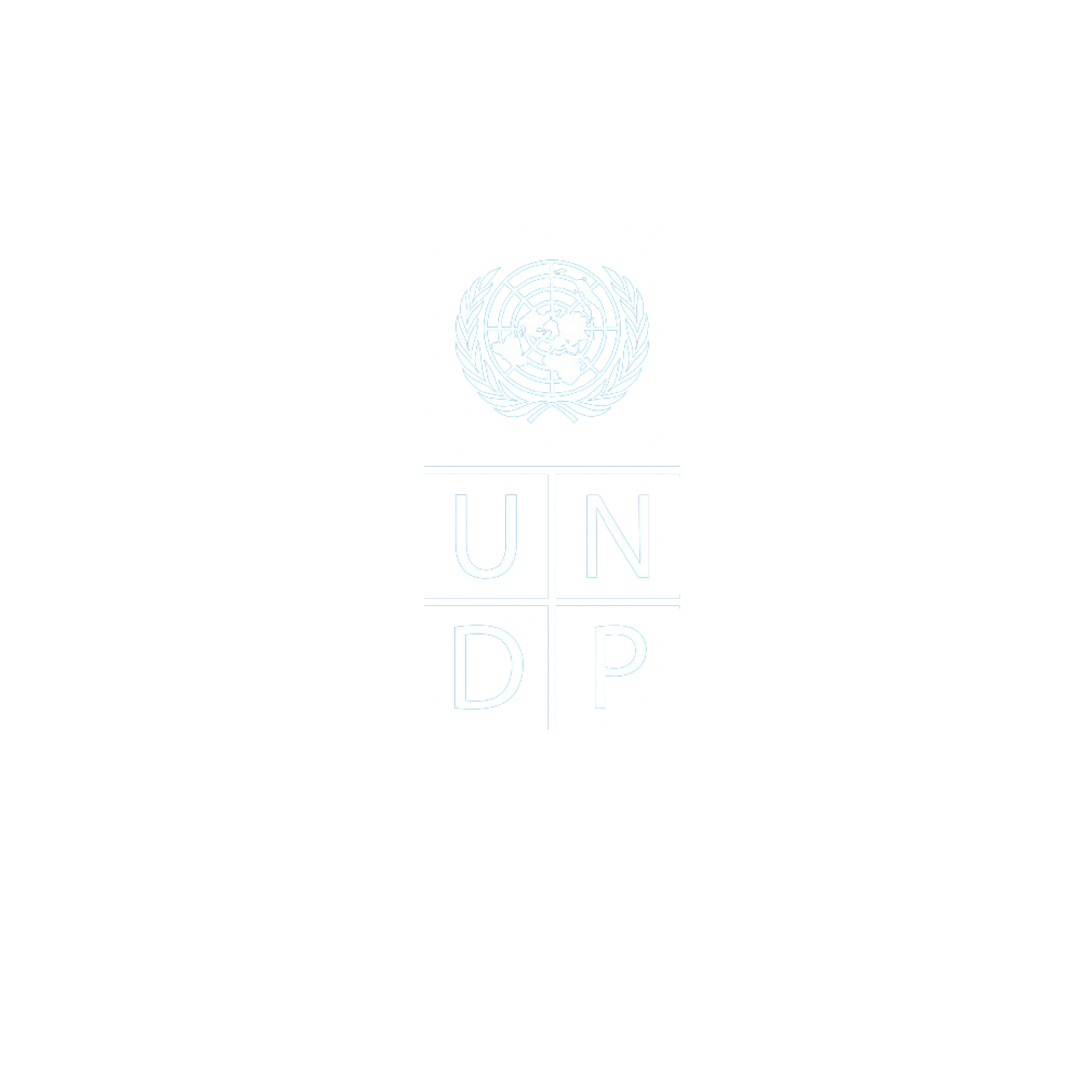 UNDP.png