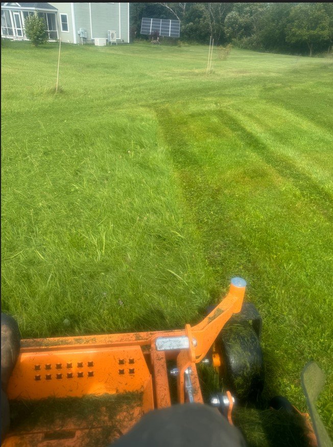 mowing lines.jpg