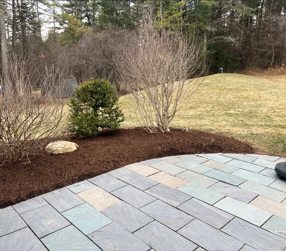 garden cleanup 2.jpg