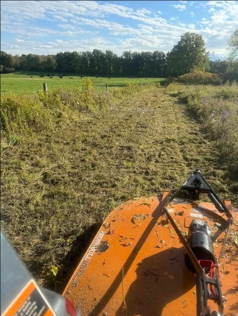 meadow mowing.jpg
