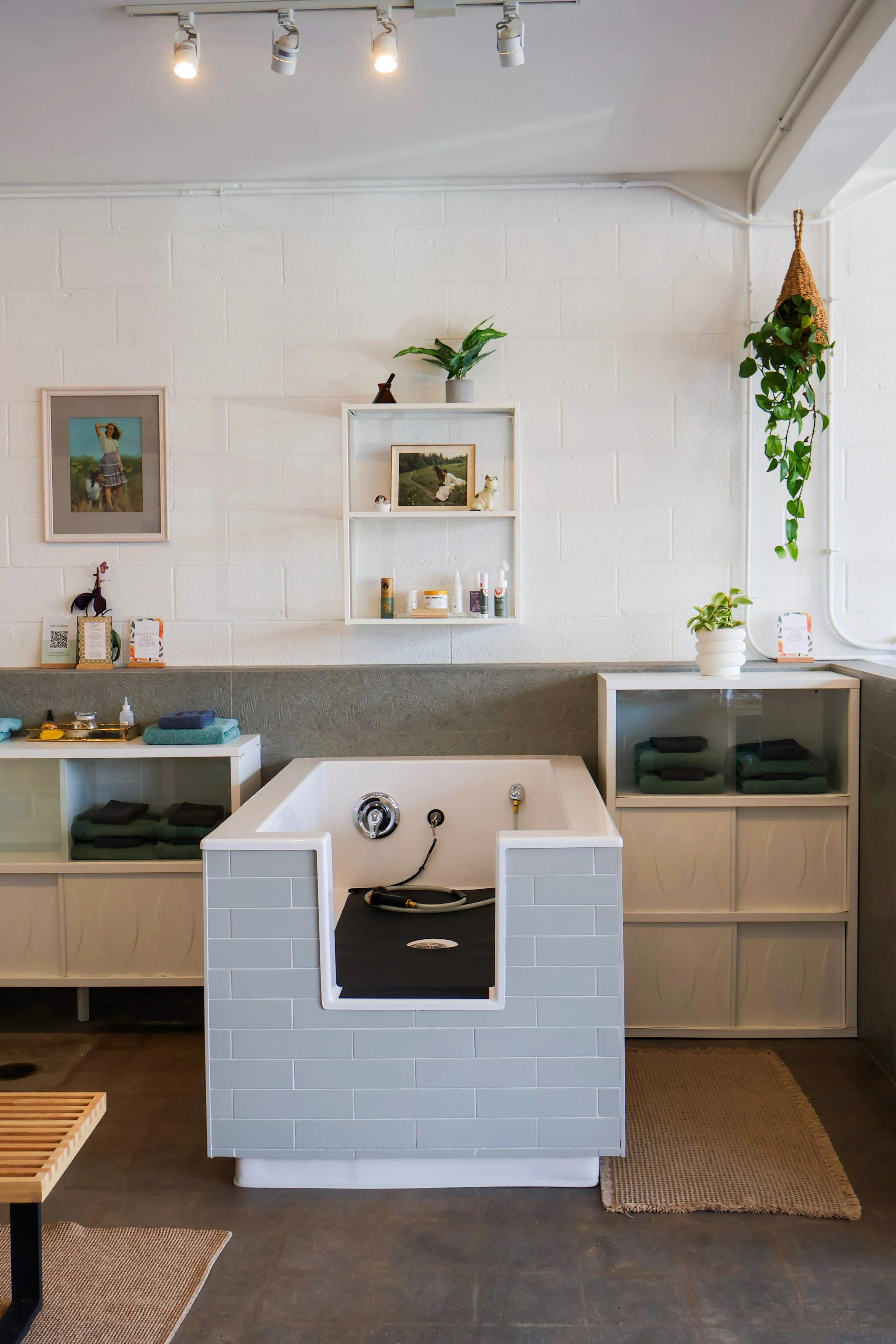 The Ultimate Guide to Keeping Your Dog Clean Happy and Healthy in Denver