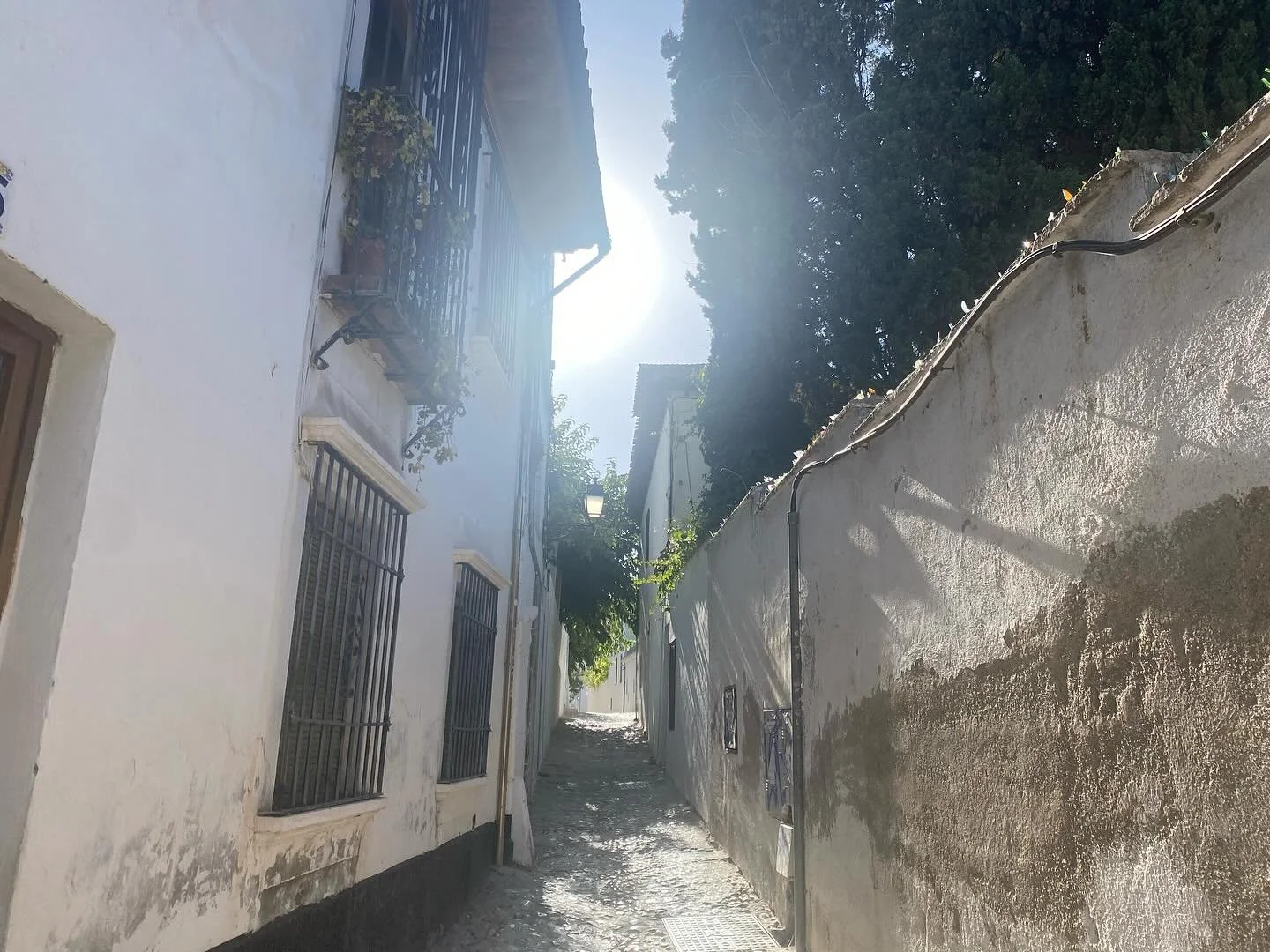 Another morning at the library. Thank you universe #albaicingranada #library