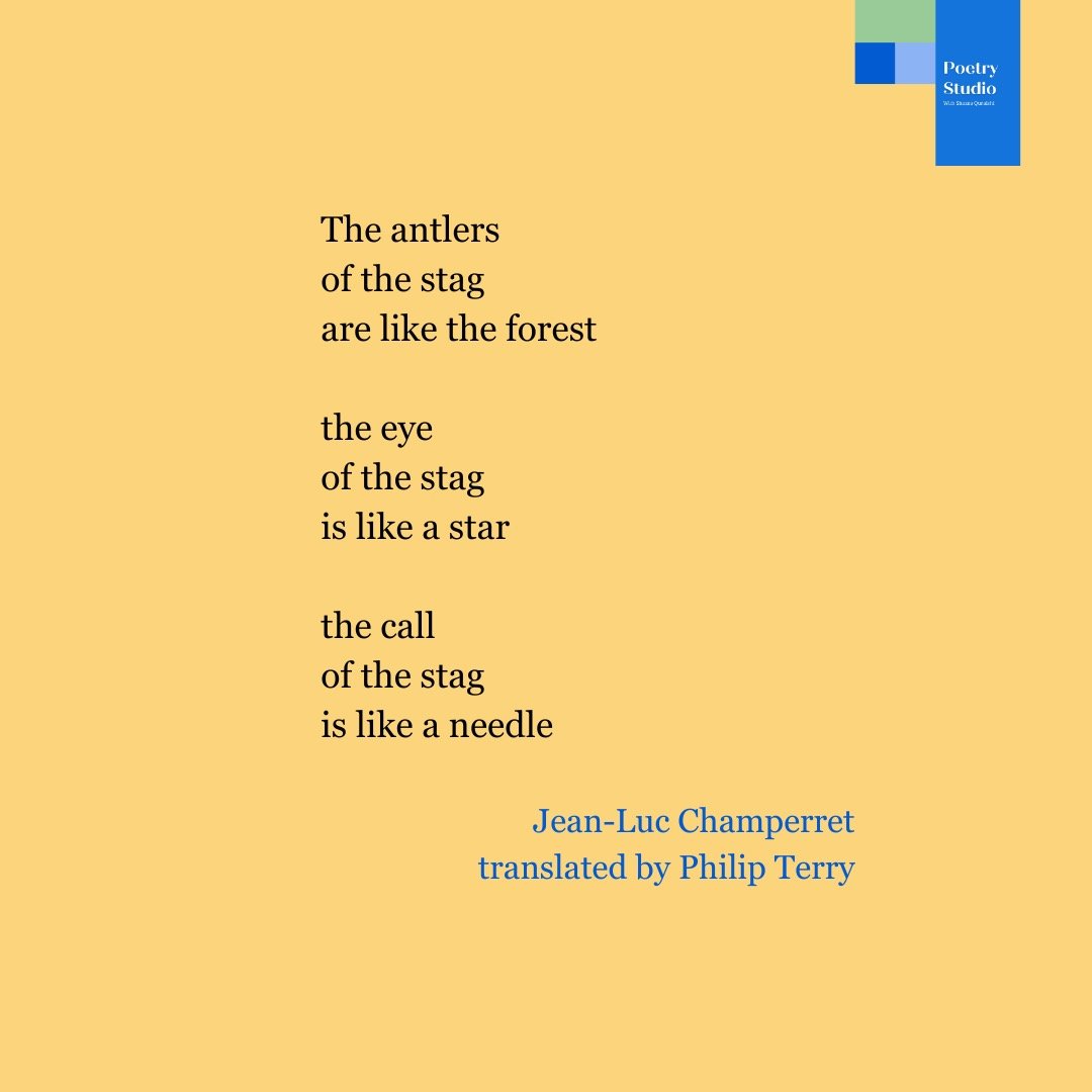 one possible translation of one possible poem from the Lascaux cave drawings... we will be Connecting With Translation in our upcoming Poetry Studio on Monday February 10th. see link in bio to book💫 #poetryworkshop #translation #creative #poetry #po