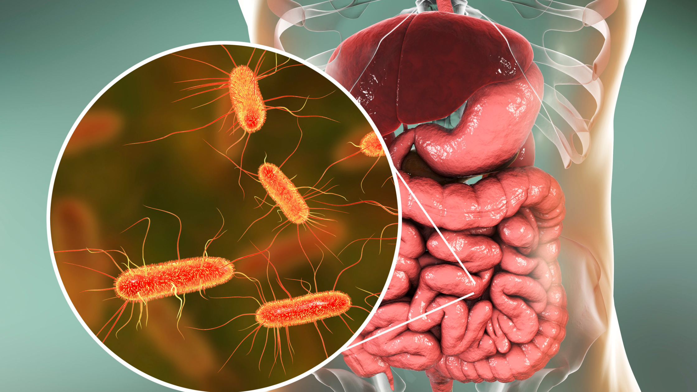 Feed Them Well and They’ll Look After You