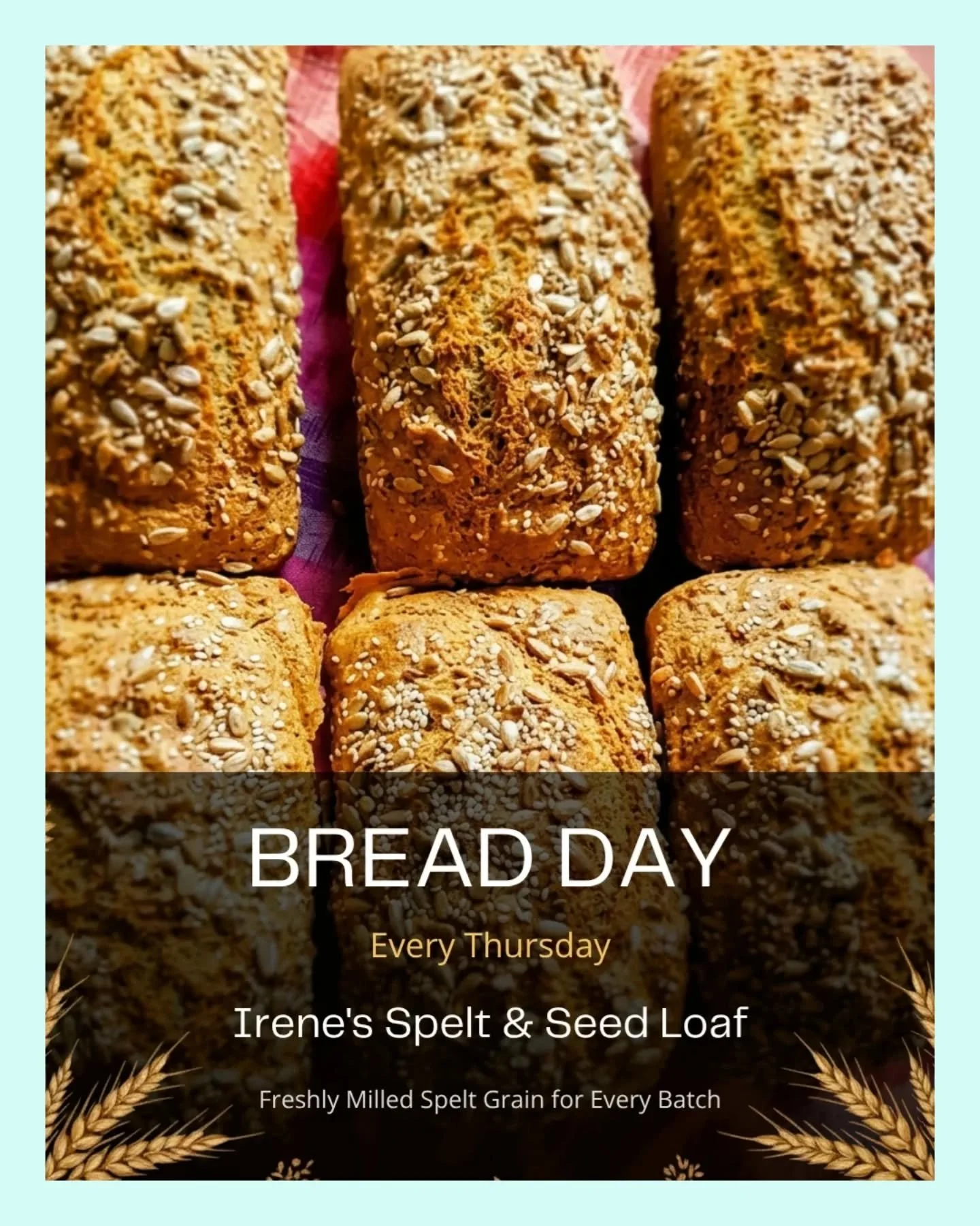 🌾 Thursday is Bread Day! 🌾

Fresh out of my kitchen every Thursday morning&hellip; Irene&rsquo;s Spelt &amp; Seeded Loaf &mdash; made with organic spelt flour, oats, local eggs, local buttermilk and plenty of nourishing seeds.

🌾 The spelt grain i