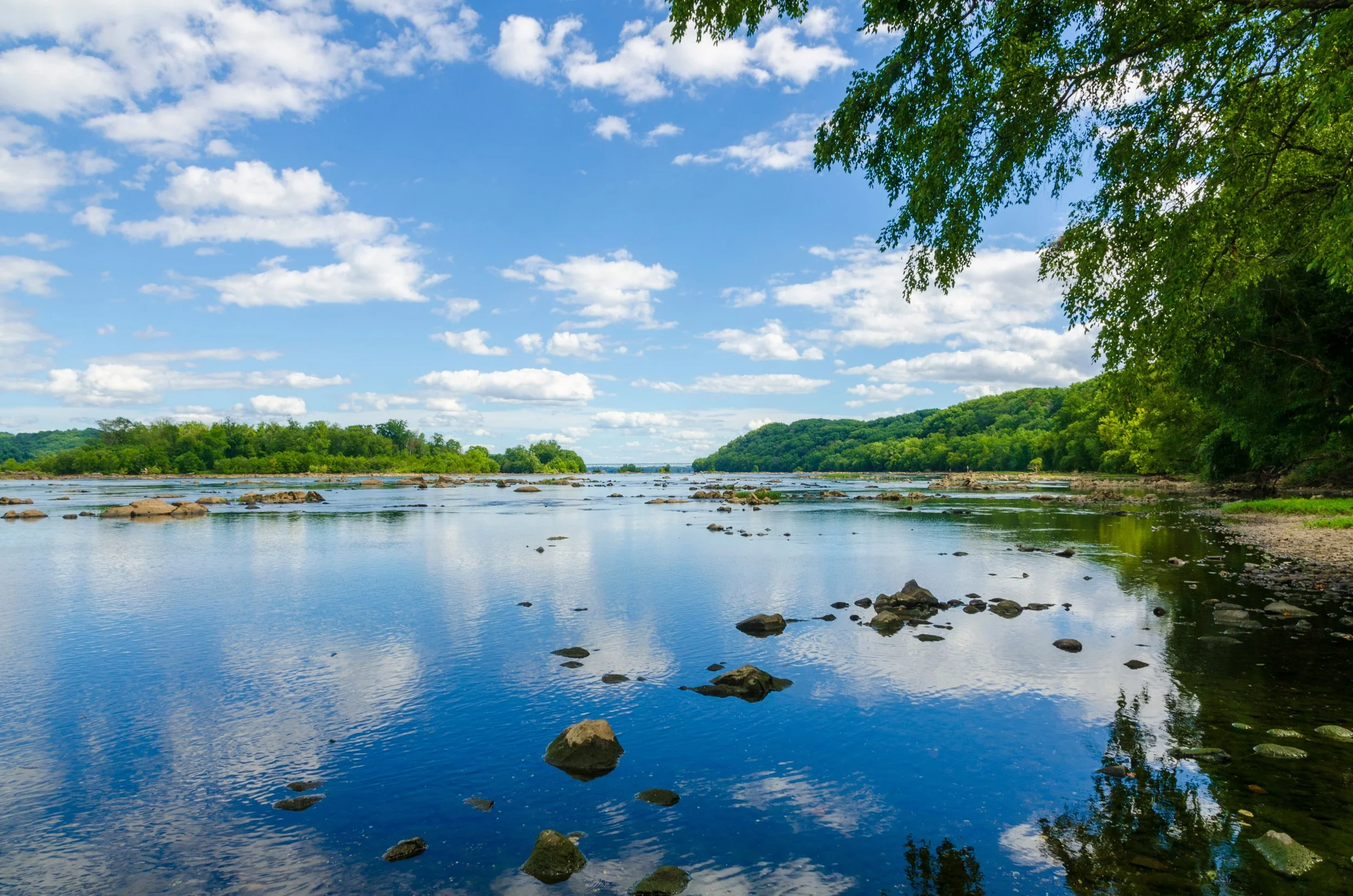 AdobeStock_485917079 (1)-min.jpeg
