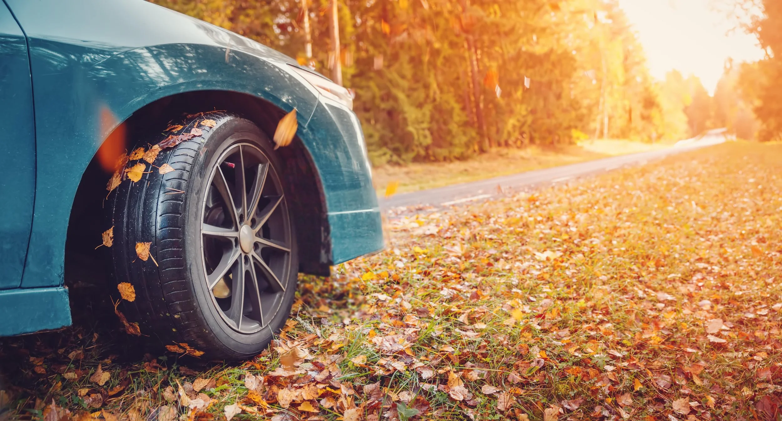AdobeStock_527631570-min.jpeg