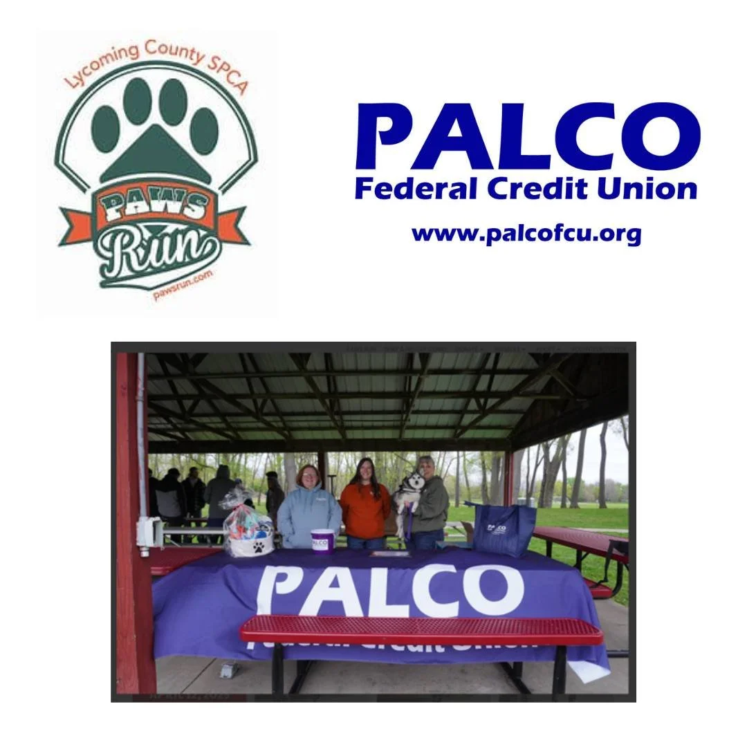 On Saturday, April 25th, PALCO Federal Credit Union participated in the Lycoming County SPCA PAWS RUN! PALCO was a platinum sponsor for this event. 
Thank you to all those who supported this event.
For more information visit https://pawsrun.com/.