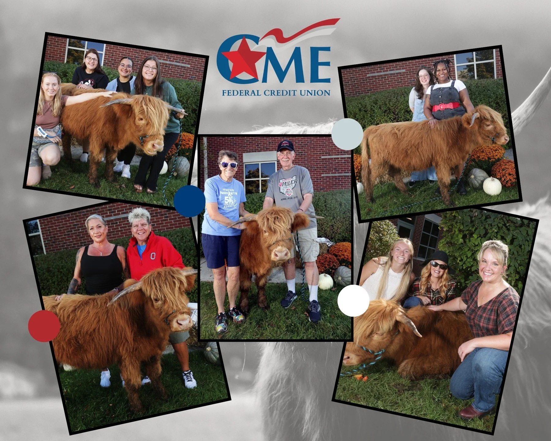 We had an &quot;udderly&quot; awesome time at our Highland Cow event with Pfarr Farms Scottish Highlands last Saturday! 
 
A huge thank-you to Pfarr Farms for bringing Cillian the Highland Cow to meet our members and for helping us provide this one-o