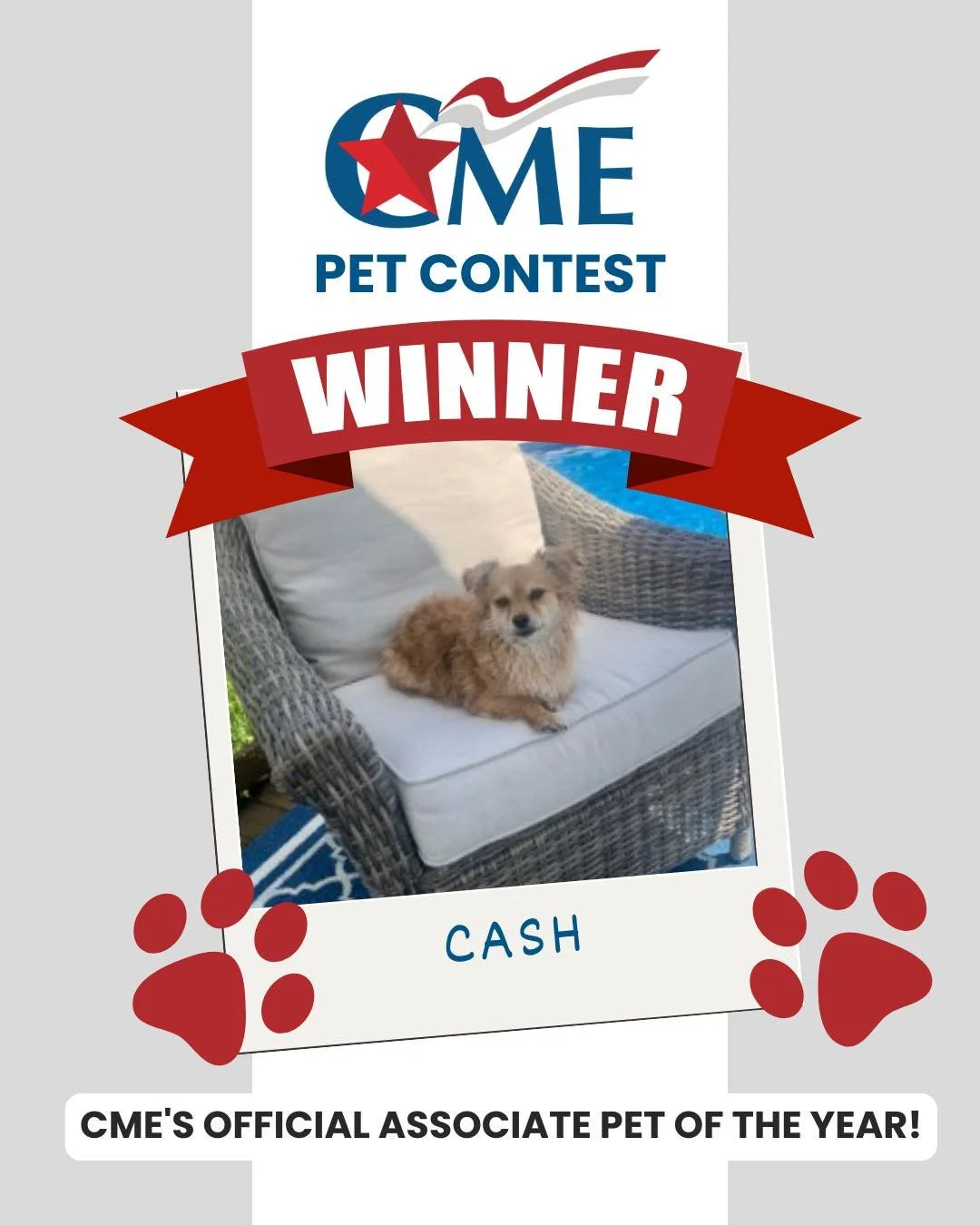 DRUMROLL.....Meet CME&rsquo;s Associate Pet of the Year &mdash; Cash! 🏆

Say hello to Cash, our first-ever &quot;CME Associate Pet of the Year&quot;! This chihuahua-Pomeranian mix is full of personality and firmly believes every human within 10 feet