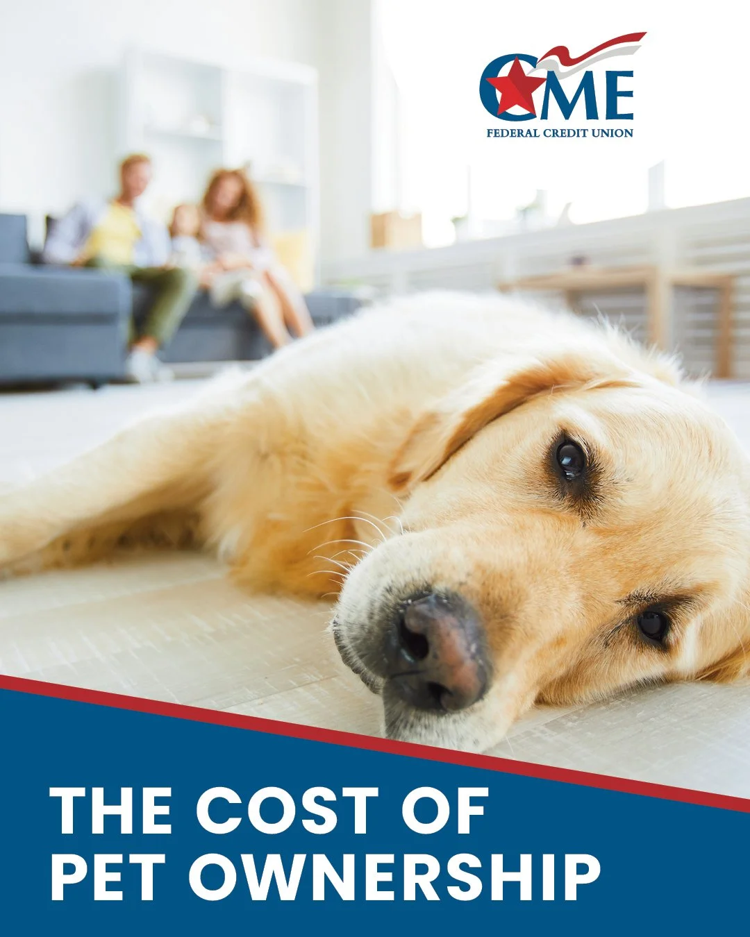 Planning to welcome a new pet into your home this spring or summer? Along with the joy they bring, it&rsquo;s important to plan for the costs.
Consider expenses such as:
&bull; Adoption or purchase fees
&bull; Food and supplies
&bull; Routine vet vis