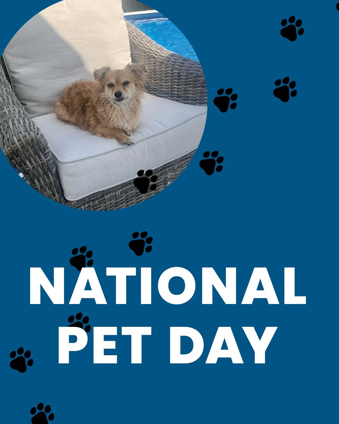 Happy National Pet Day. Meet Cash, CME&rsquo;s Associate Pet of the Year.

Pets may come with expenses, but the joy they bring is priceless. From food and supplies to vet visits, planning ahead can help you give them the care they deserve.

We&rsquo;
