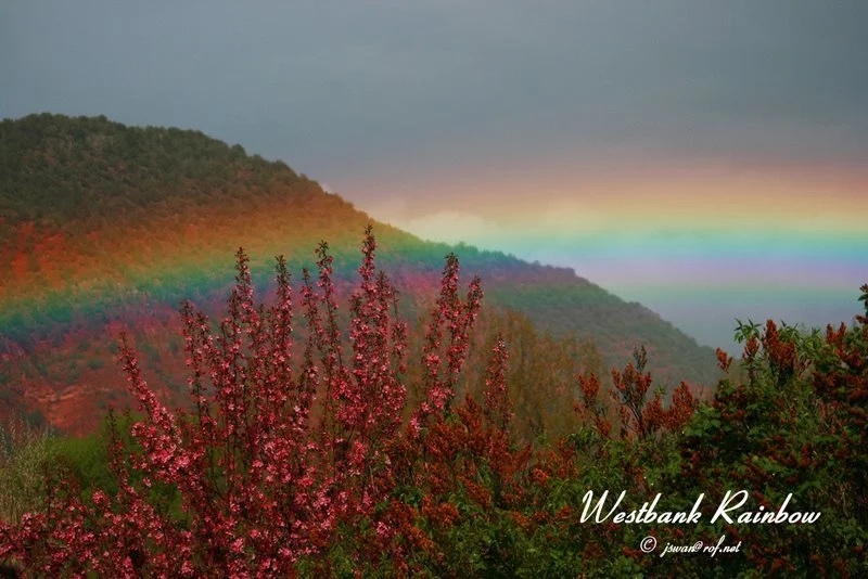 wb-rainbow-full (1).jpg