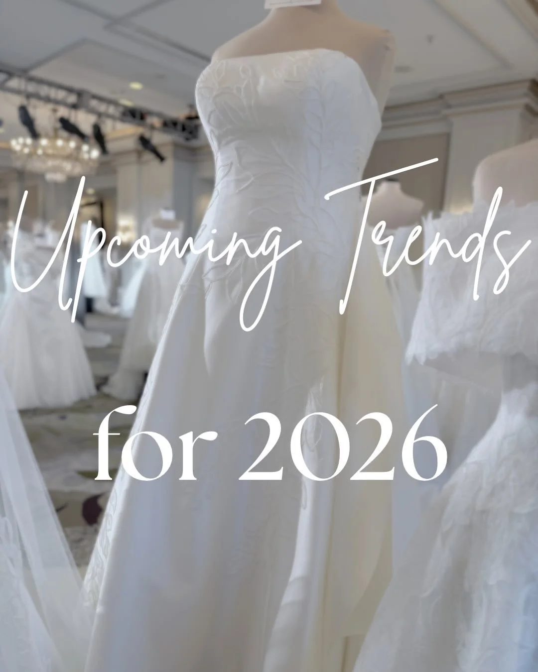 A lil sneak peek at some of the gorgeous gown trends you can expect to see this year!💫

#curvebysomethingbluebridal #bridaltrends

bridal trends &bull; wedding gown trends &bull; 2026 wedding gowns &bull; wedding dress shopping &bull; bridal boutiqu