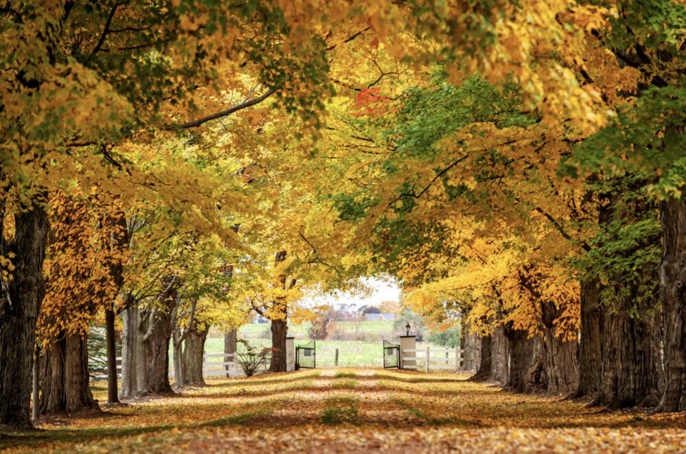 About Belcroft Estate
