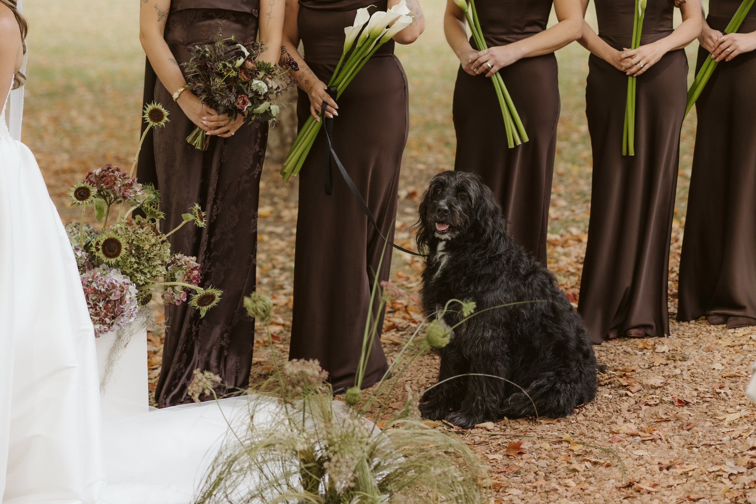 EBP-S+B-Wedding-54.jpeg