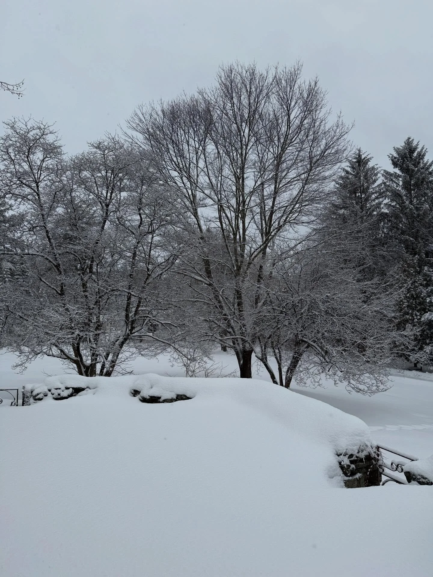 I&rsquo;m only available for what delights me. 

This mantra is the filter I make decisions through and it&rsquo;s how I reframe to-do&rsquo;s that might not be &ldquo;delightful&rdquo; on their own accord. 

Is shoveling wet, heavy snow delightful? 