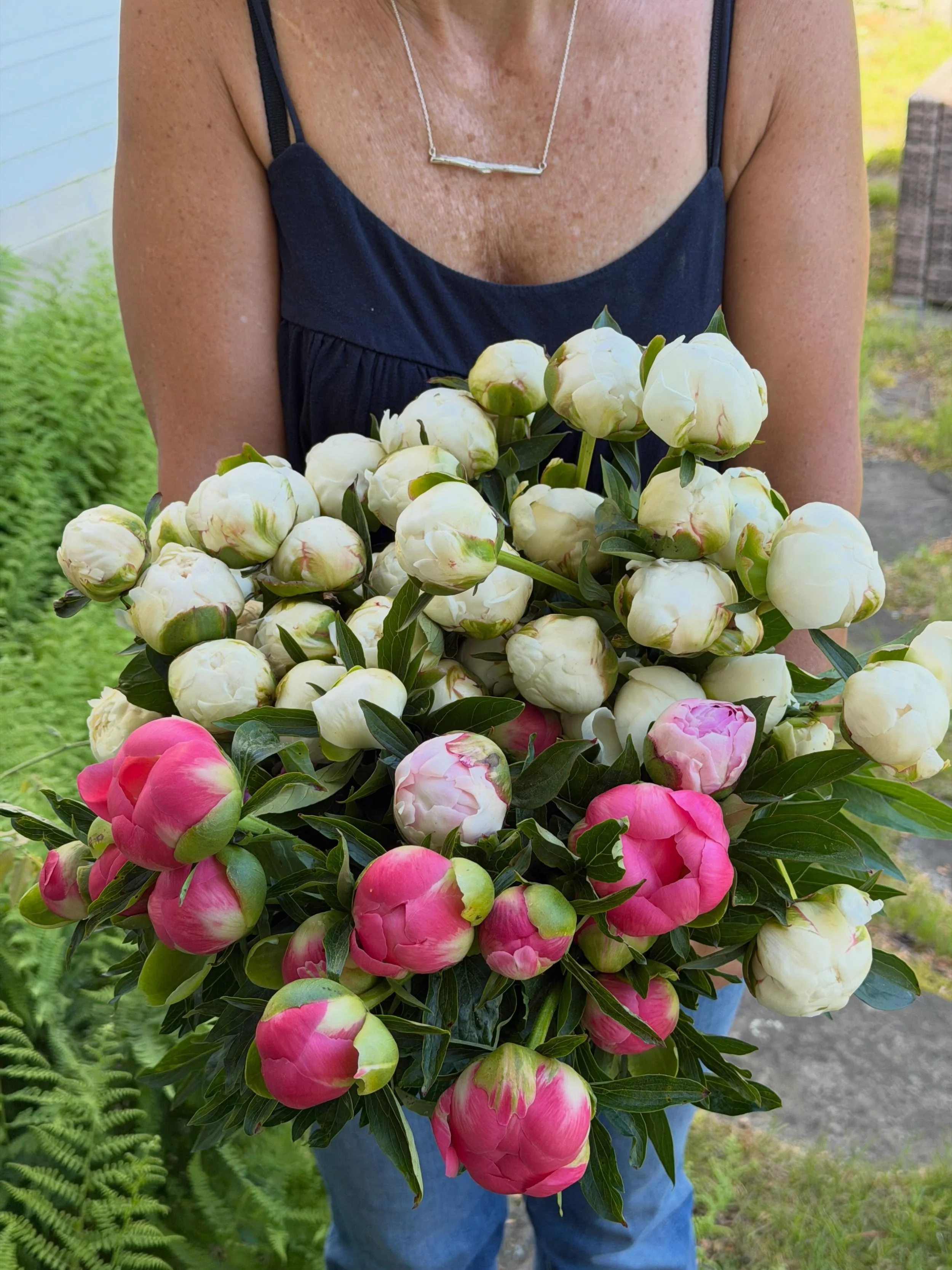 What: Peony pop-up shop Friday!
When: 9-12 (while supplies last)
Where: The barn at the Phineas Wright House

Coral Sunset
Duchess de Nemours 
Sarah Bernhardt 
$5/stem

#phineaswrighthouse #smallnewenglandfarm #mydreamybarnlife #peonies